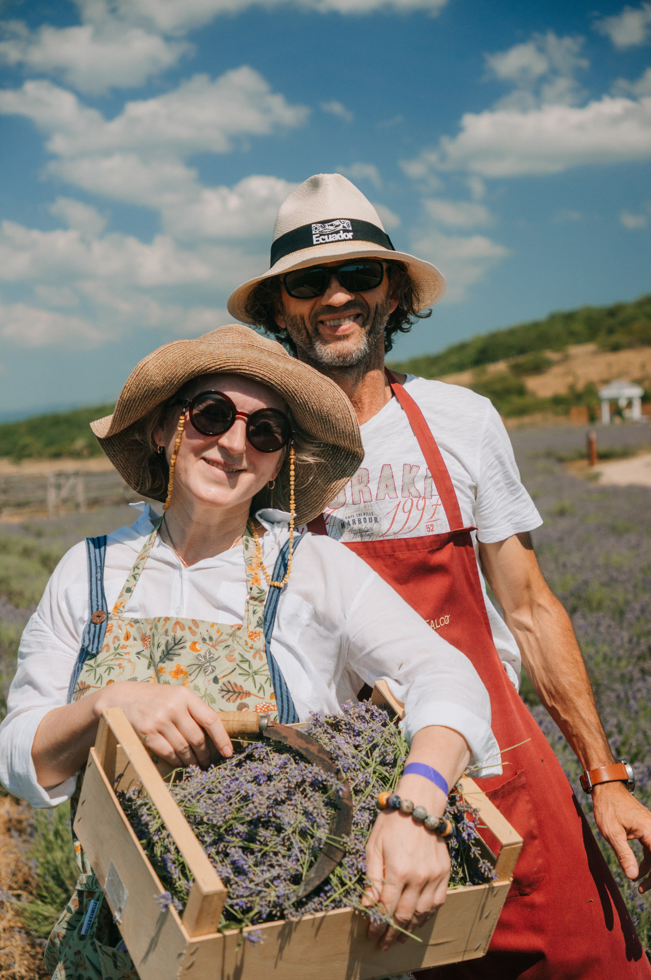 Сбор урожая | лавандовая ферма Viva Lavanda. Обо мне