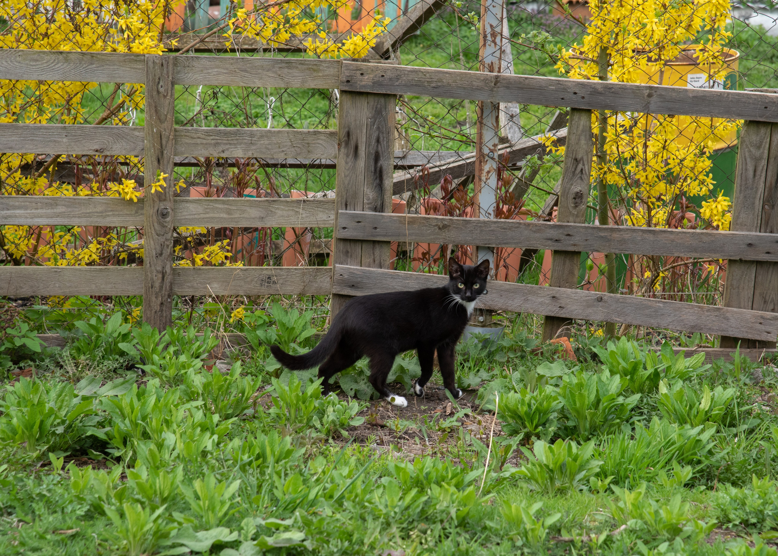 Калининград, Светлогорск. Фотограф Юлия Зимина