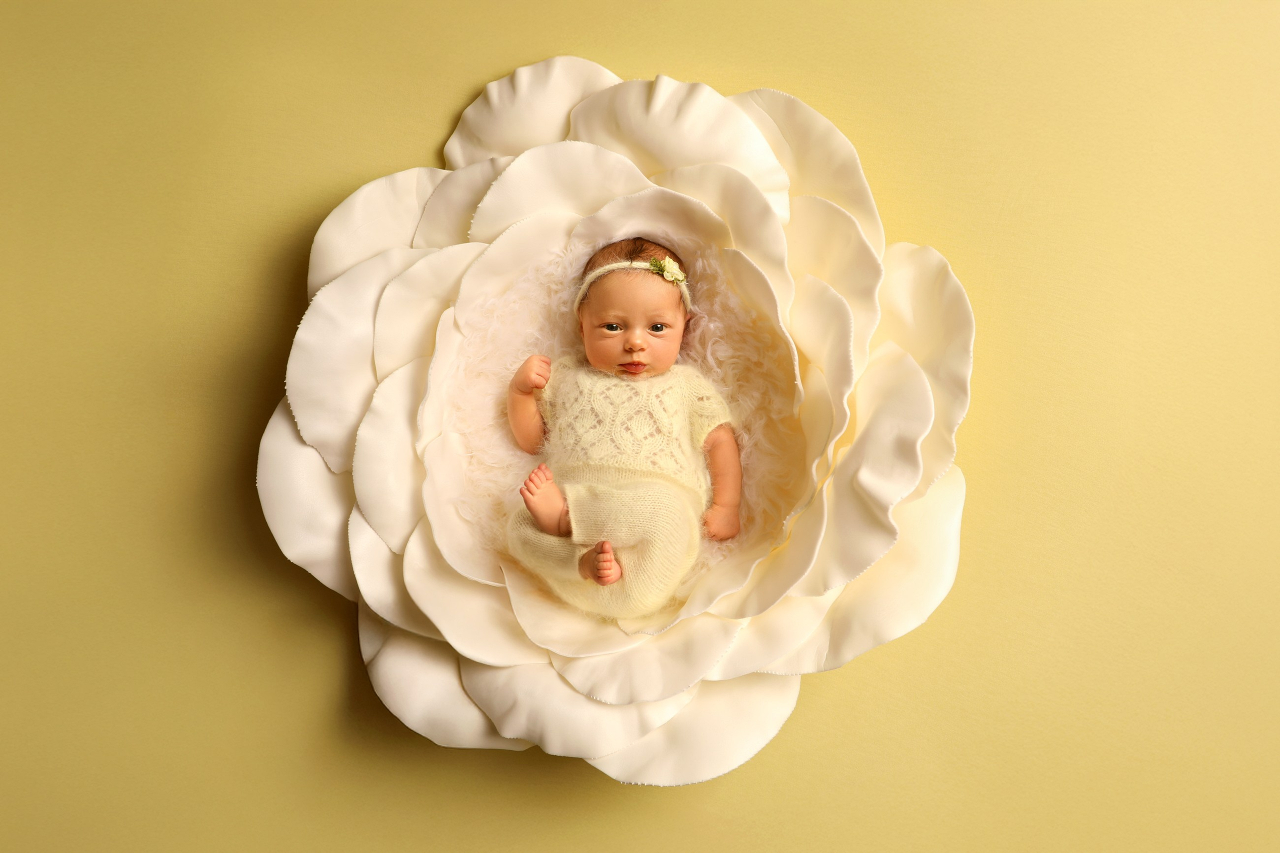 фотосессии новорожденных великий новгород