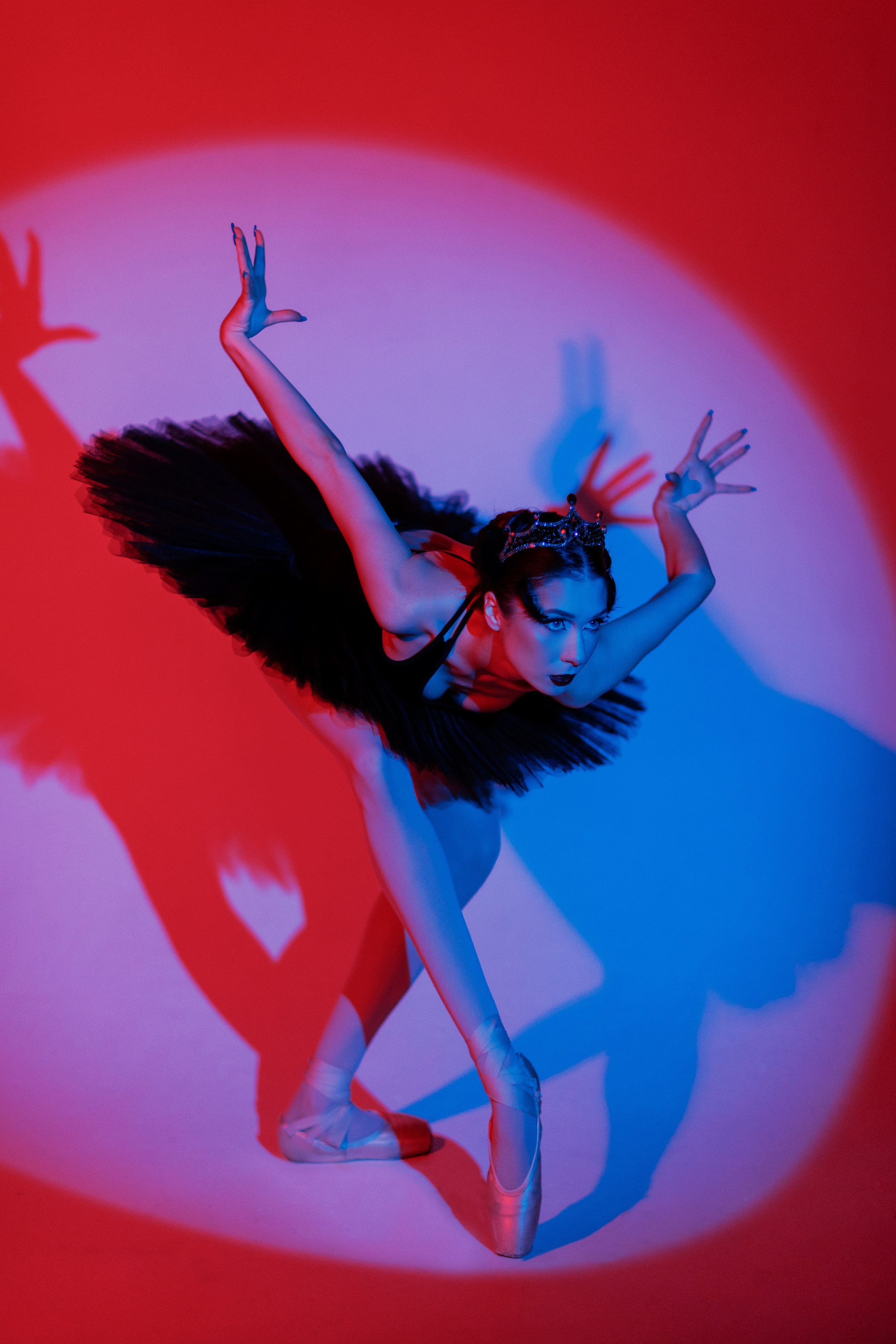 Черный лебедь. Марковкина КрисТина