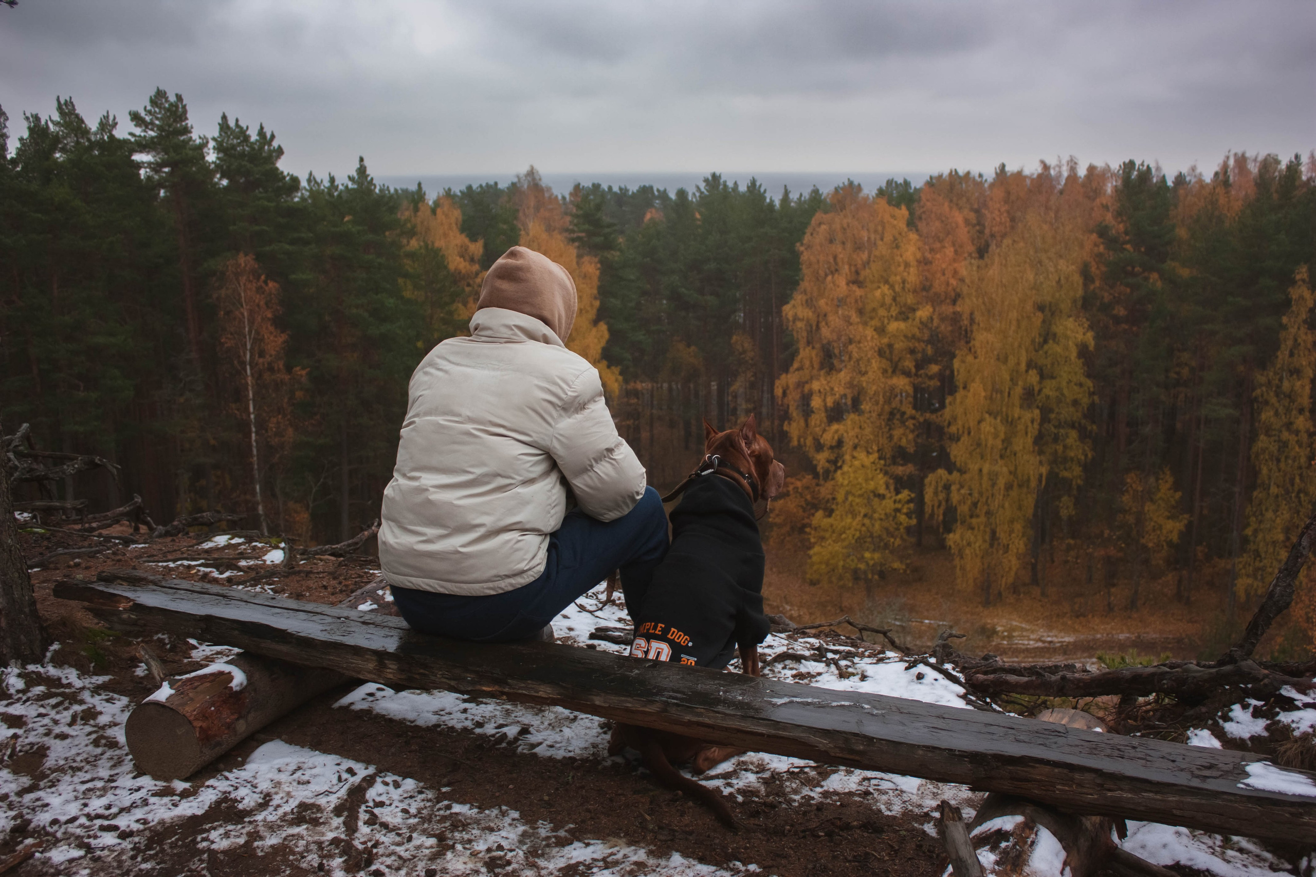 Айрон и Егор. Фотограф-анималист в Санкт-Петербурге Алина Яхонт