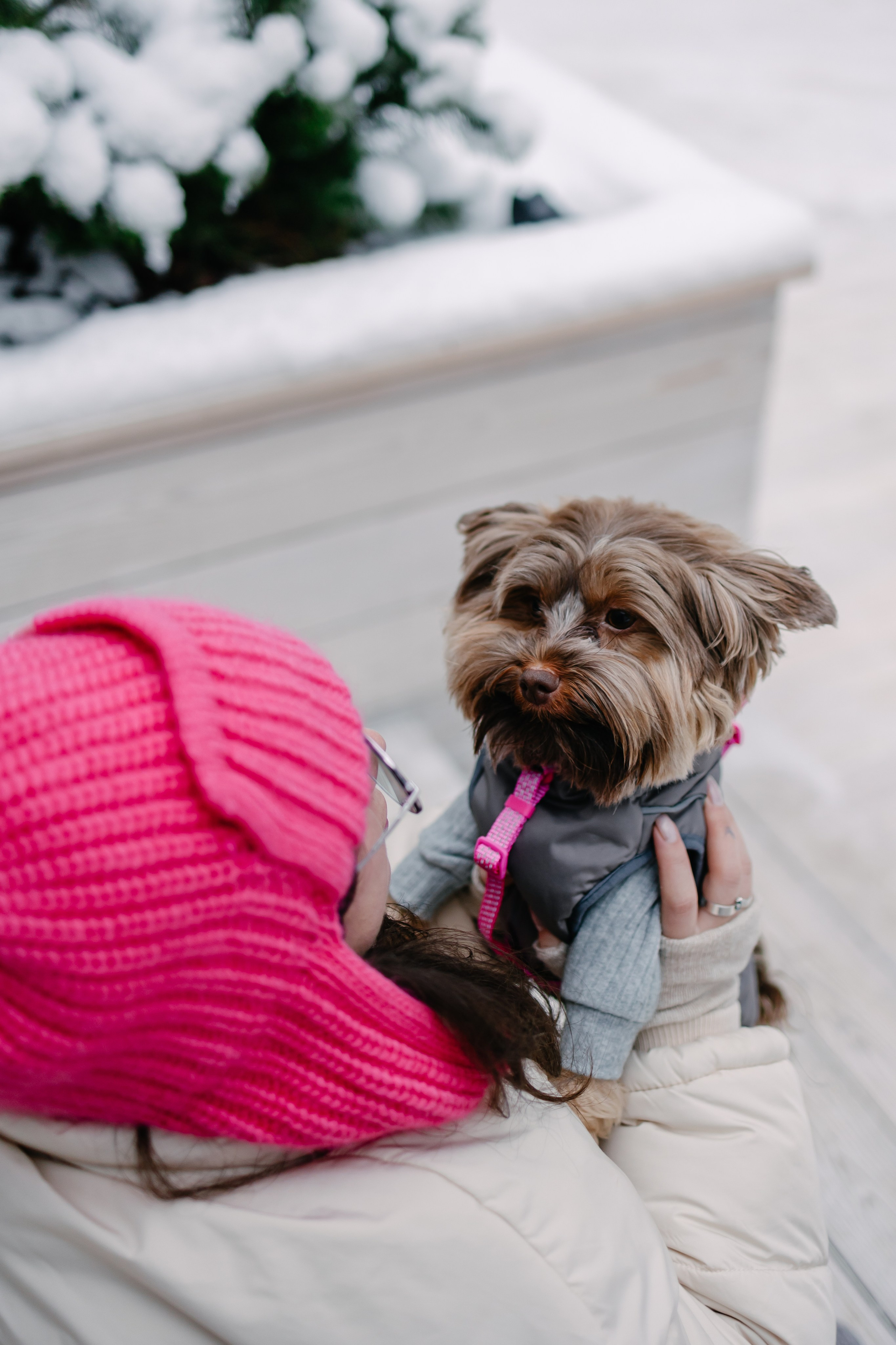 Лиза и Рикки. Фотограф-анималист в Санкт-Петербурге Алина Яхонт