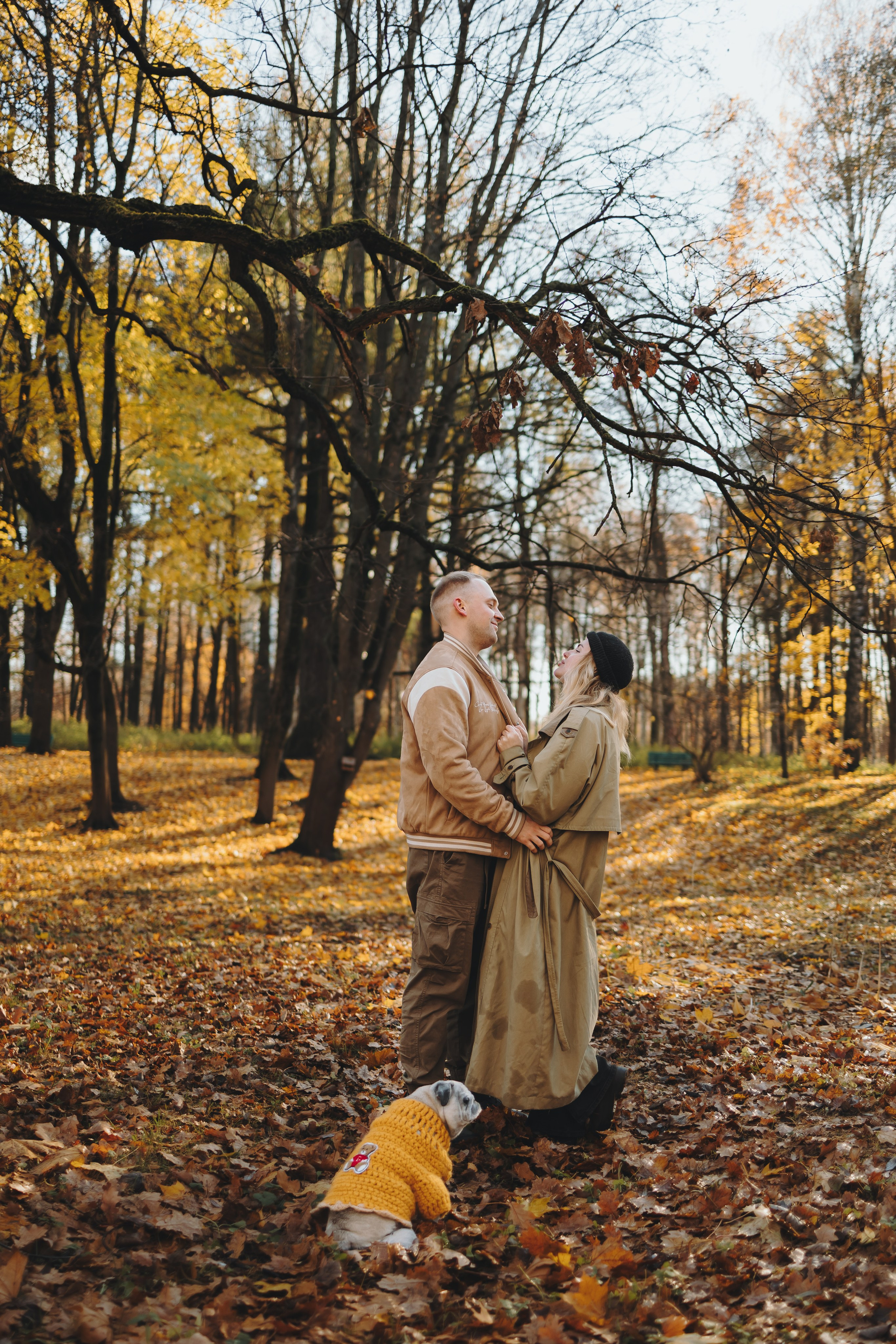 Габи и ребята. Фотограф-анималист в Санкт-Петербурге Алина Яхонт