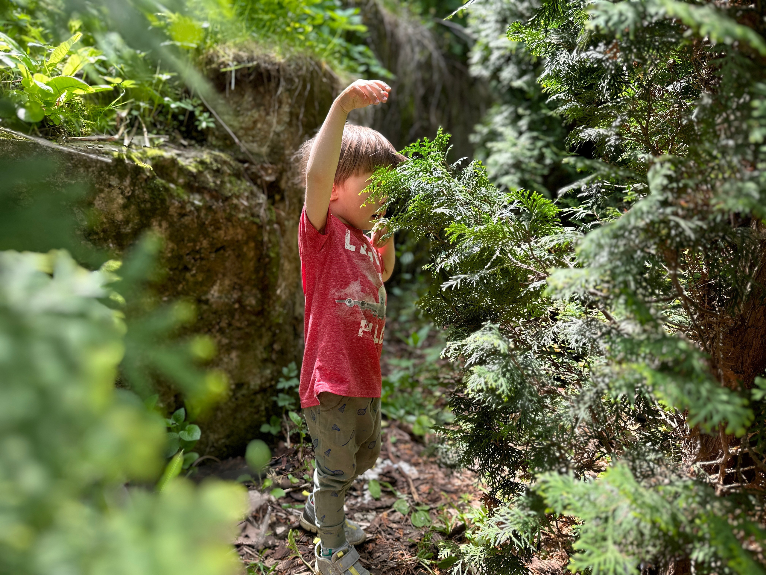 Дети. Смотри, красота!