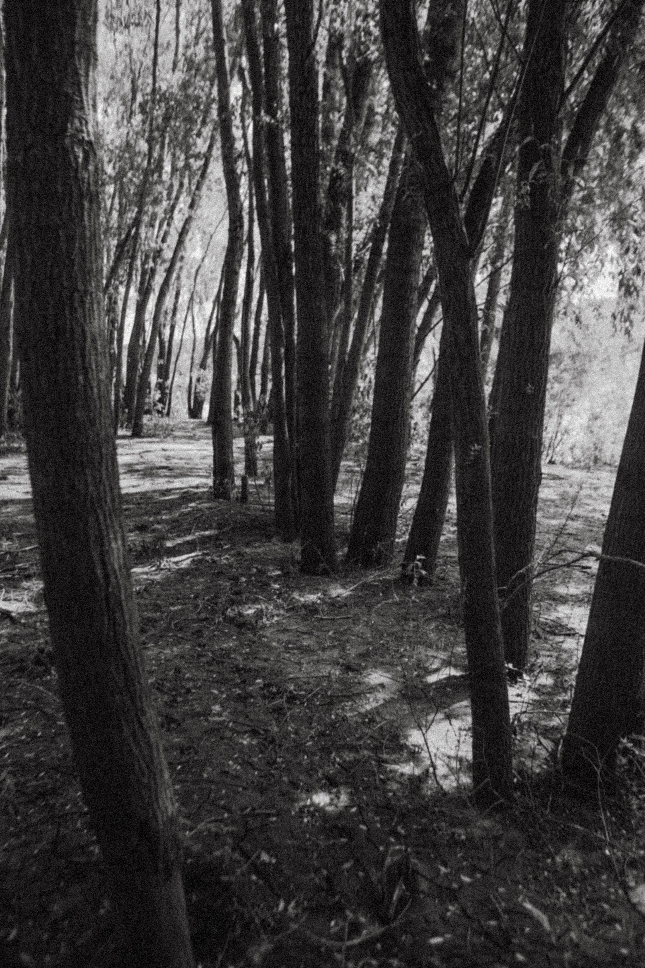 Кристи берег реки. Фотограф в Нижнем Новгороде
