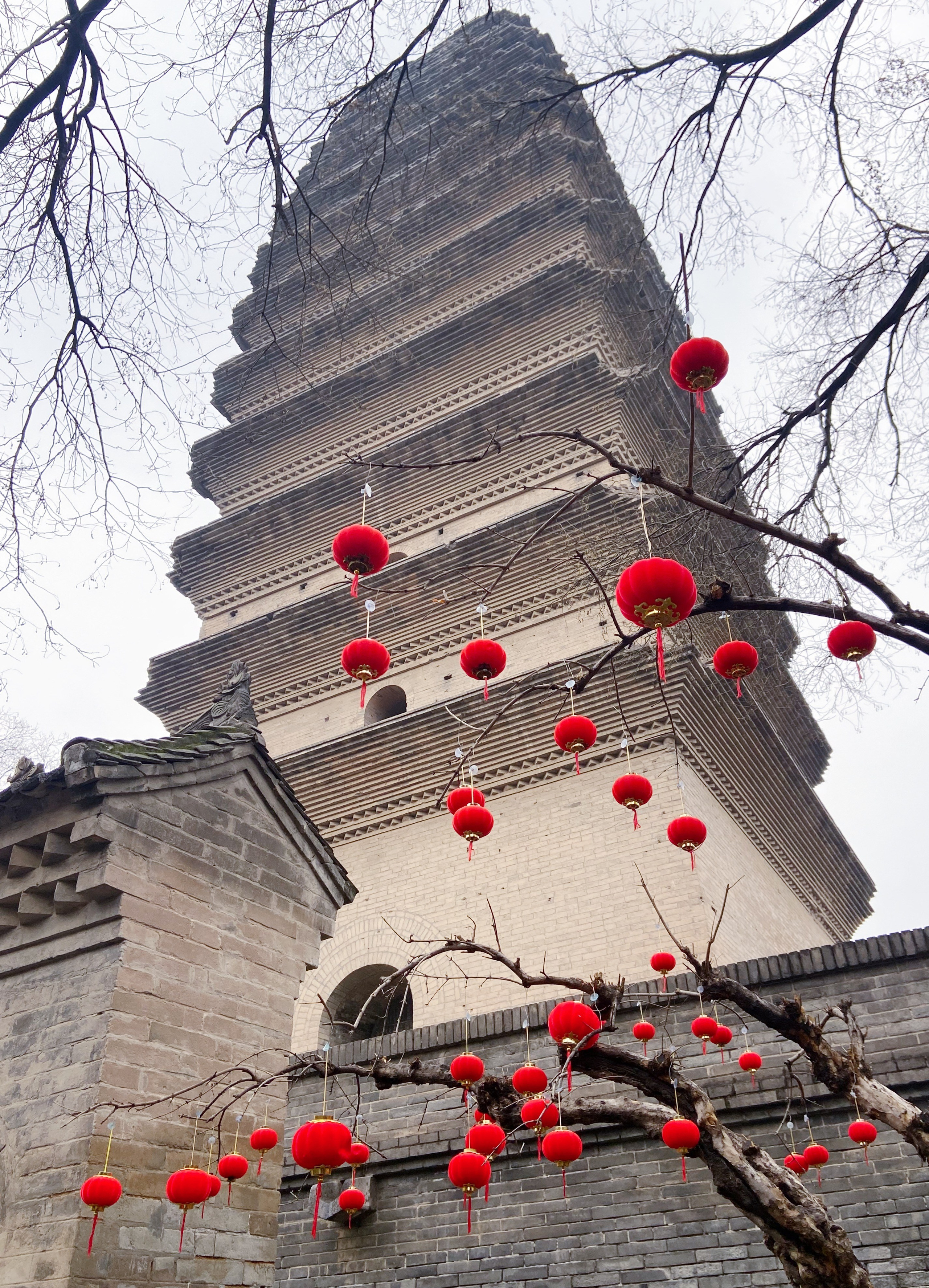 Китай'25: Пекин-Сиань-Шанхай. Фотограф-портретист в Москве