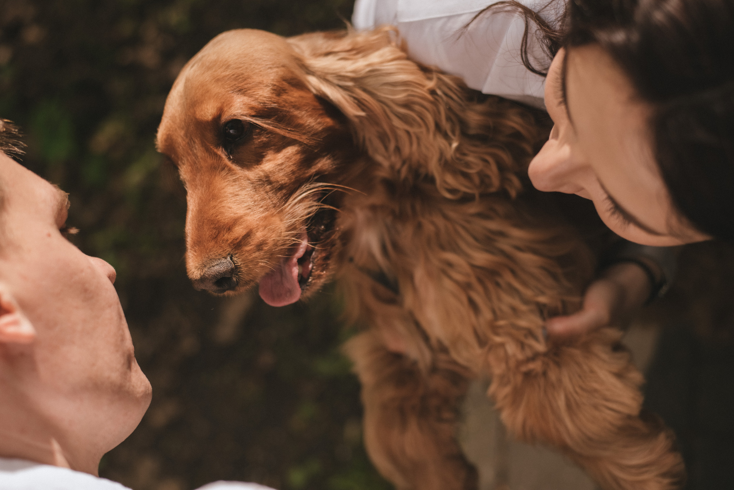 ФОТО ПРОГУЛКА. Семейный и женский фотограф в Москве Доминова Елена