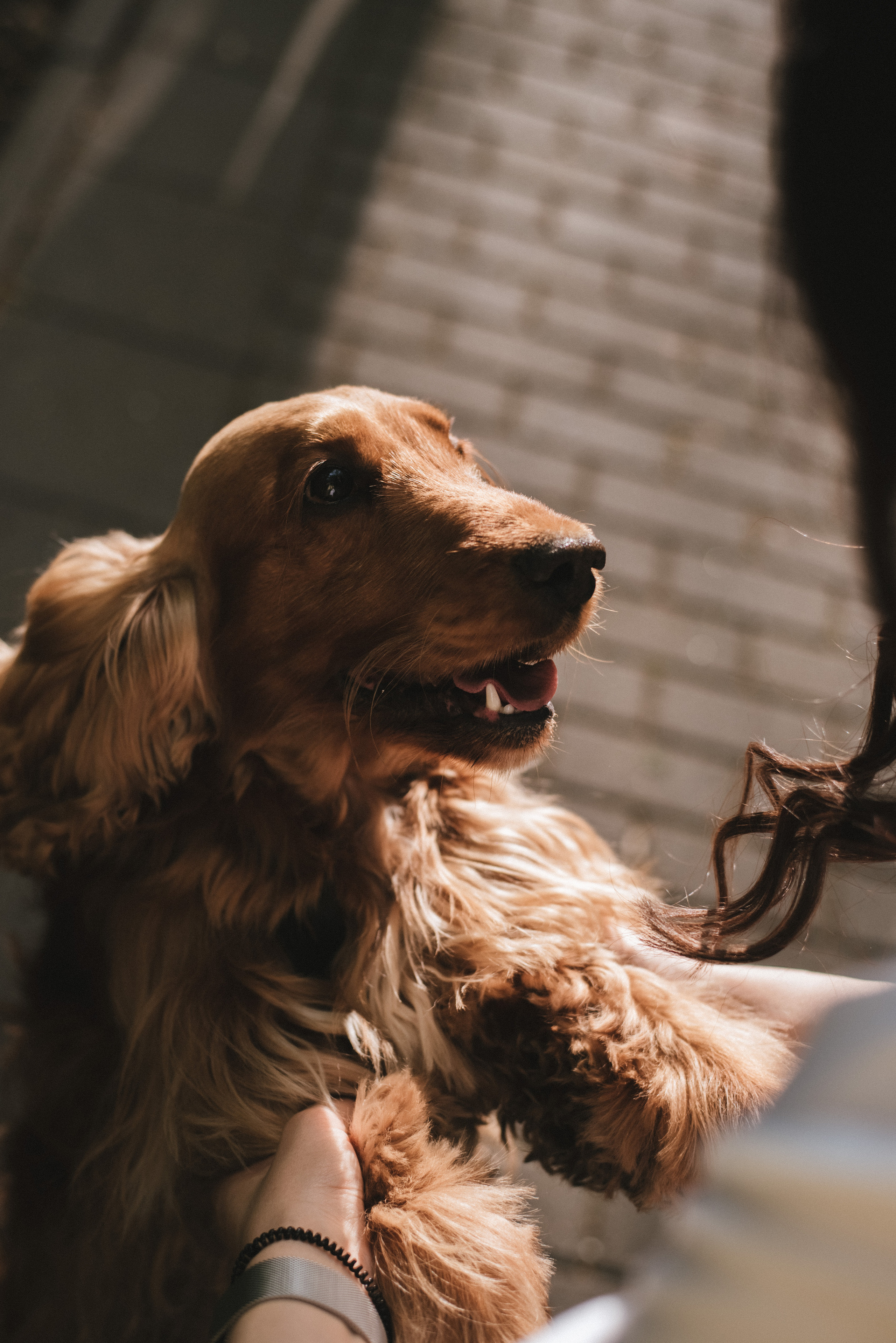 ФОТО ПРОГУЛКА. Семейный и женский фотограф в Москве Доминова Елена