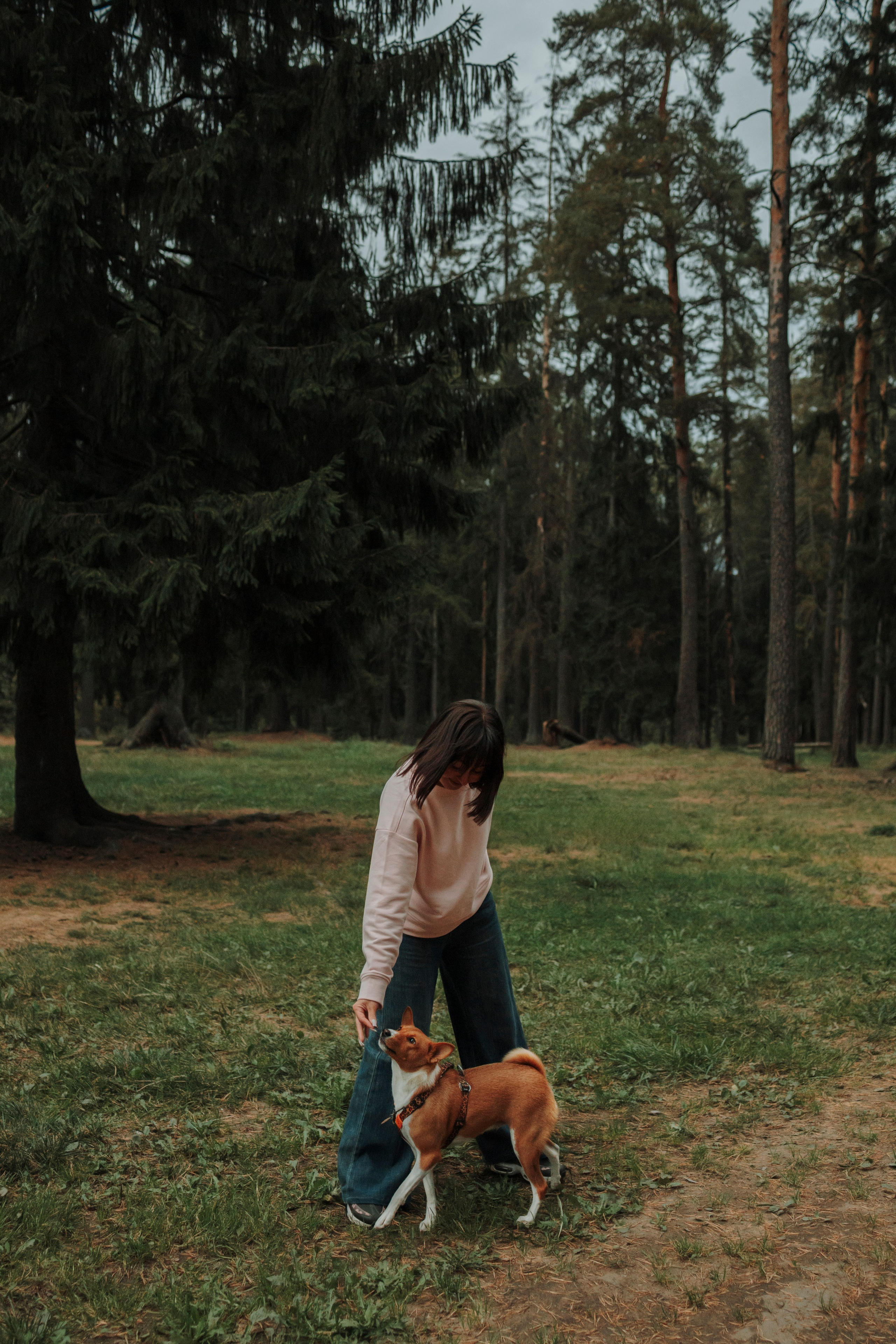 Даша и Лора. Фотограф-анималист в Санкт-Петеребурге Титова Алиса