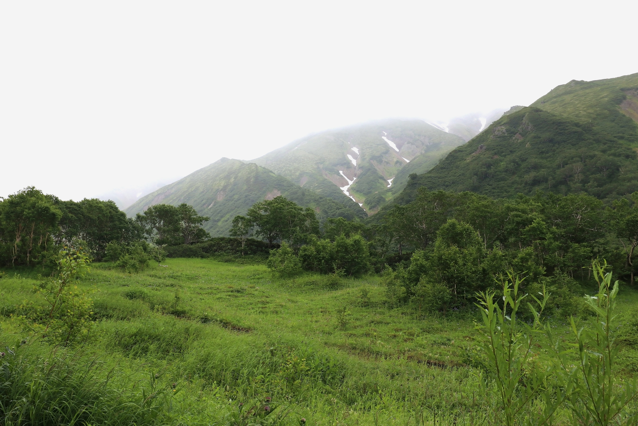 Камчатка и о. Парамушир. Июль 2024. Путешественник-фотограф из Санкт-Петербурга Татьяна Свистулина