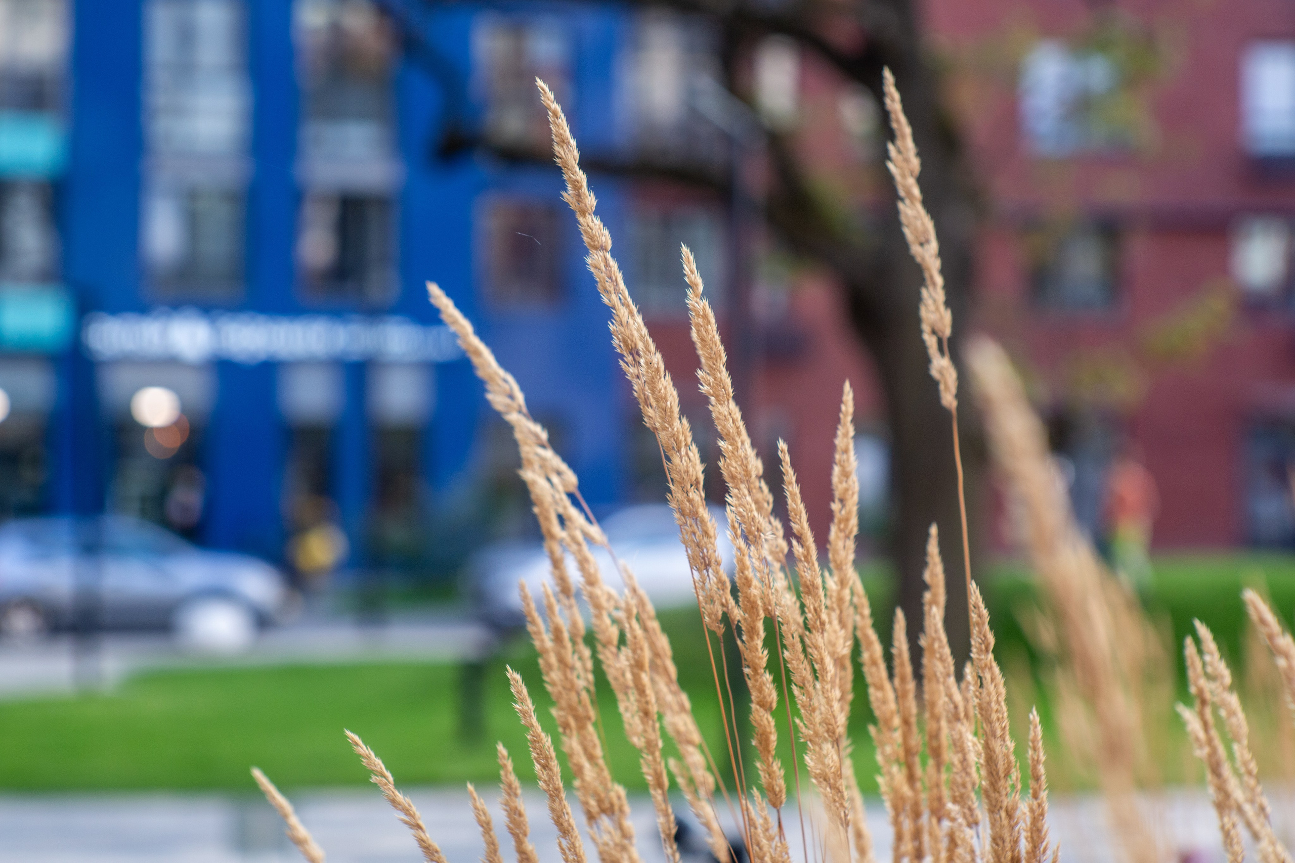 Фото Москвы. Студия Максима Белослюдцева