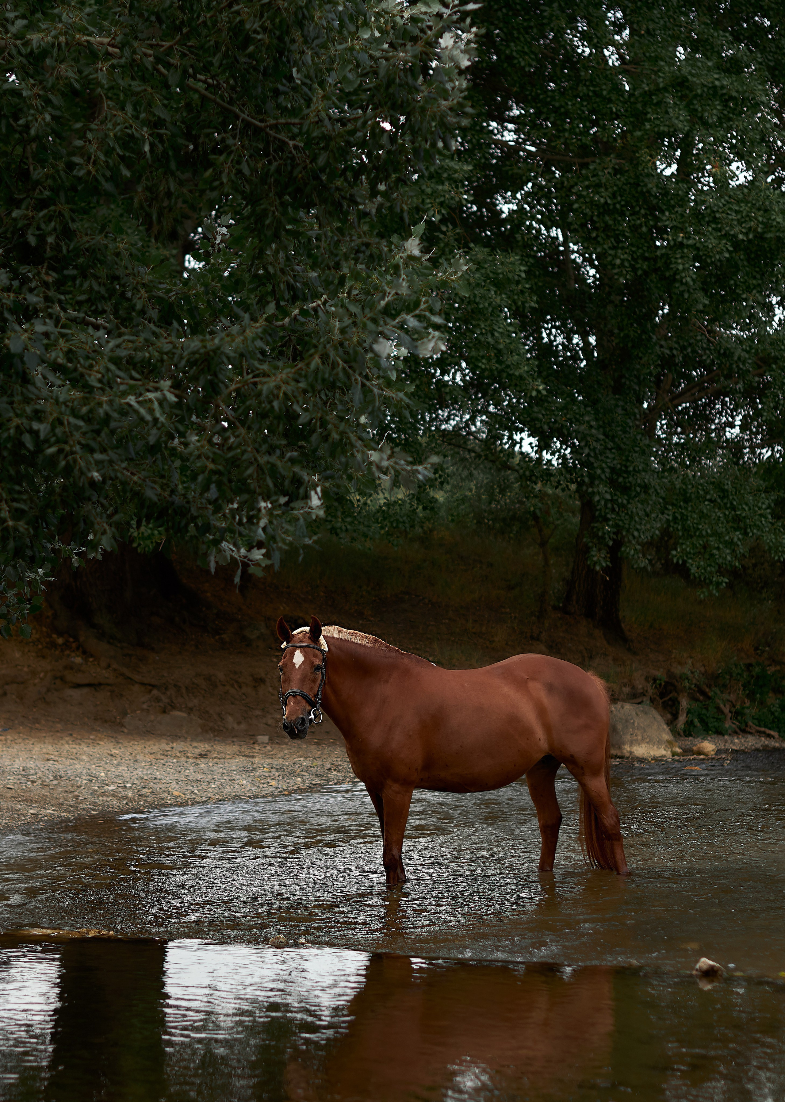 Касандра. Фотограф в Севастополе