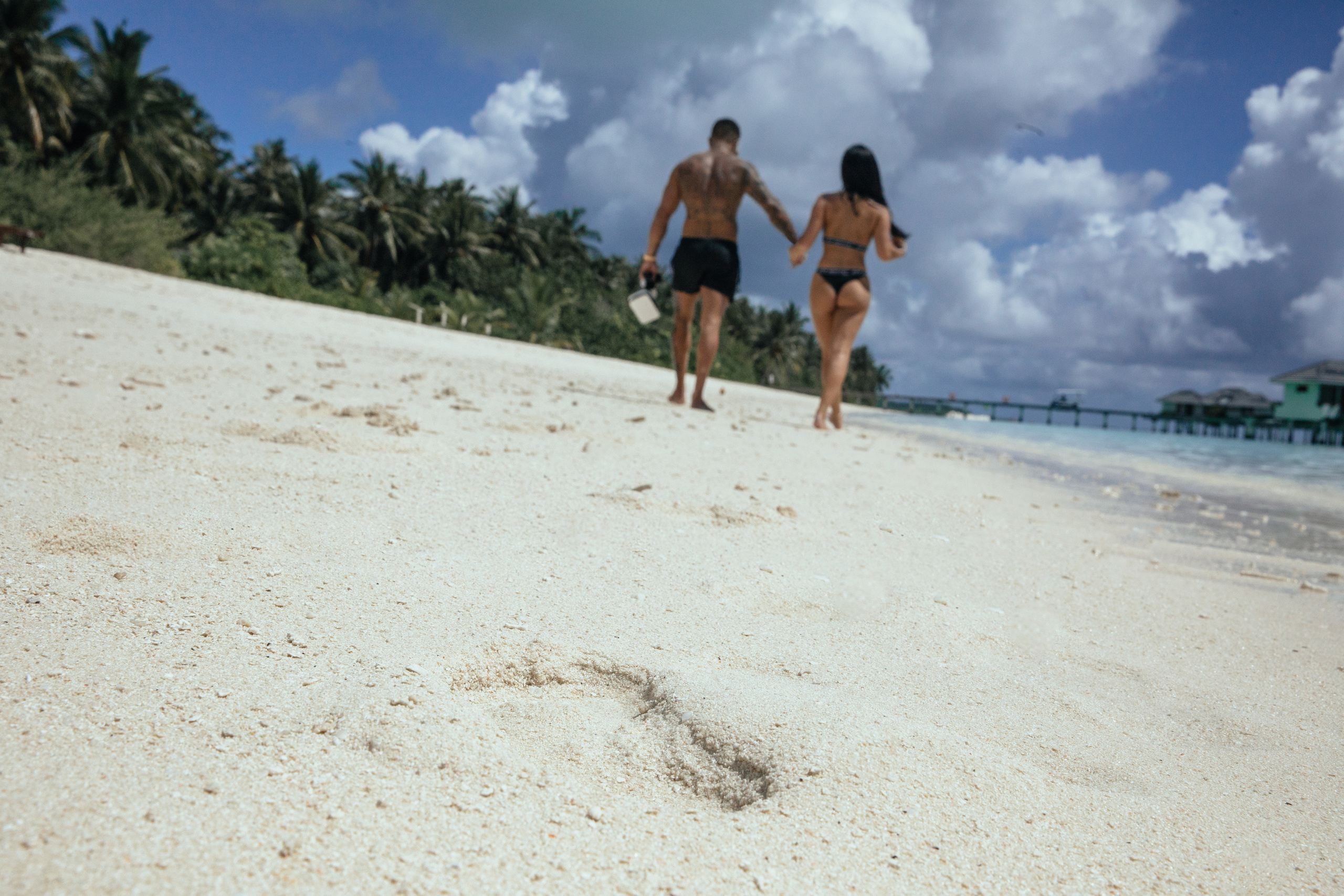 Тони и Эмили. Ева Демидова. Спортсмен по конкуру в Санкт-Петербуре