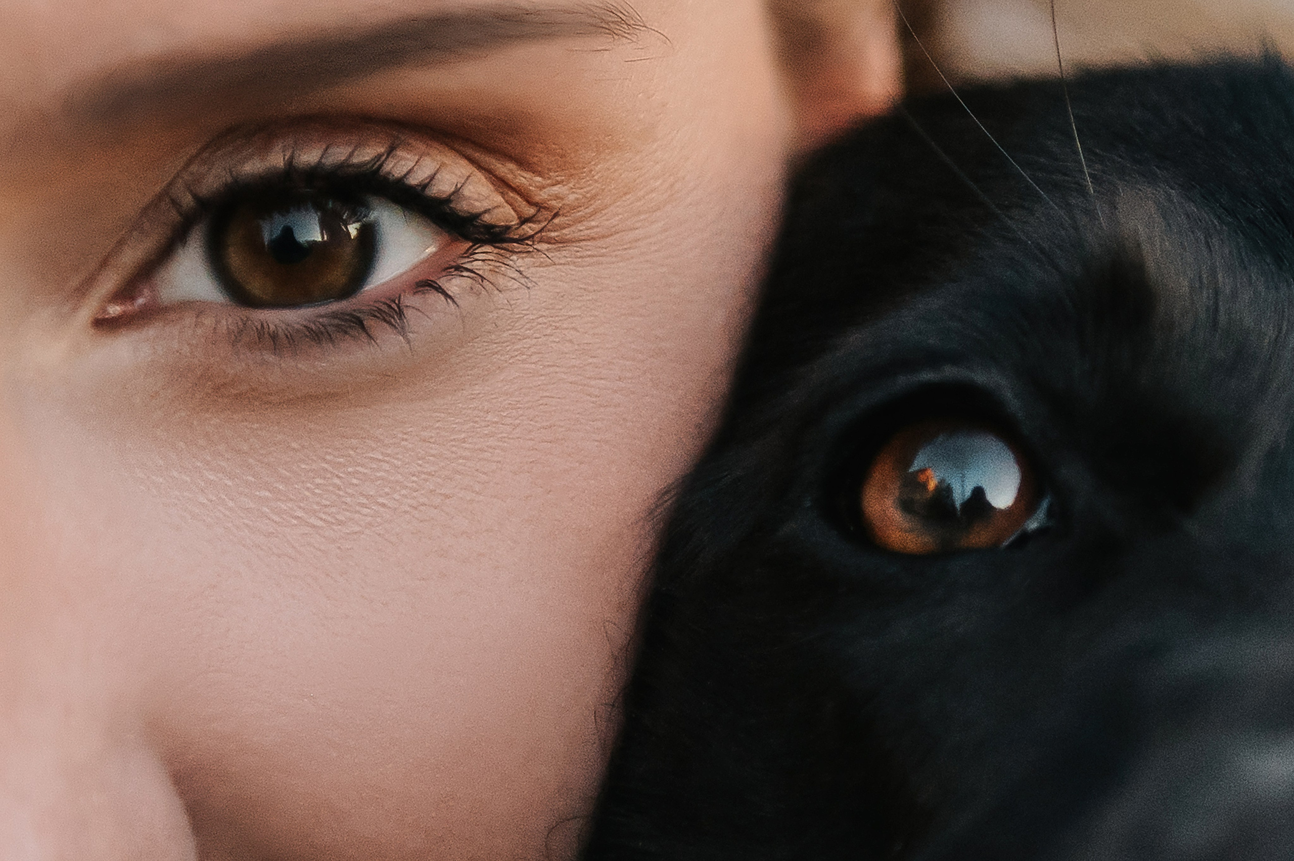 Олеся, Саша и Юка (Королев, 2024). Анна Пушина, фотограф, Москва, Королев, Пушкино