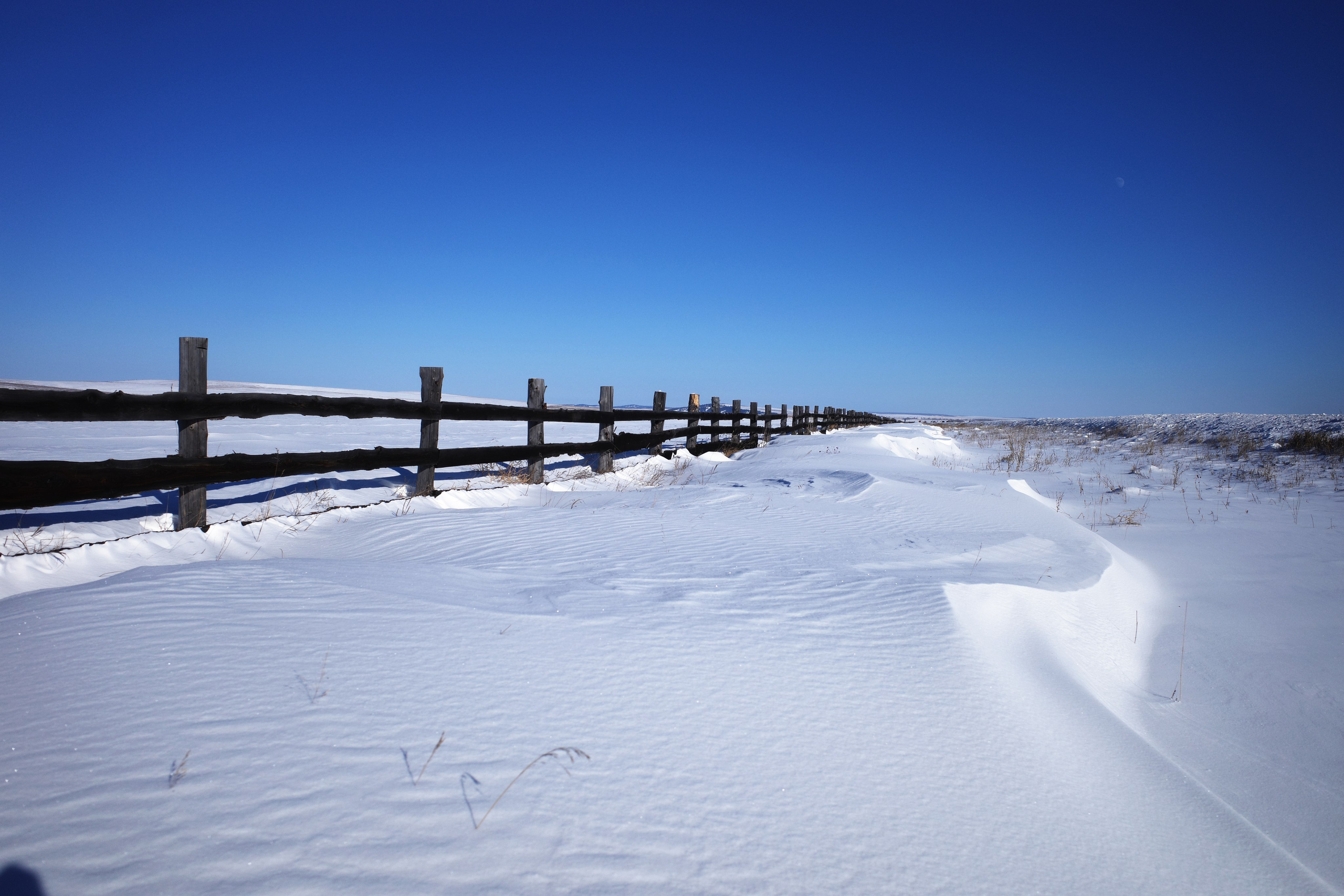 Безмолвие пустоши. Междисциплинарный художник Екатерина Старовойтова