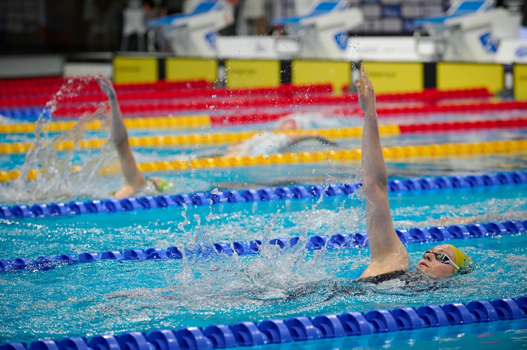 Кубок России по плаванию 2024 г. Екатеринбург. Мезенцев Евгений фотограф