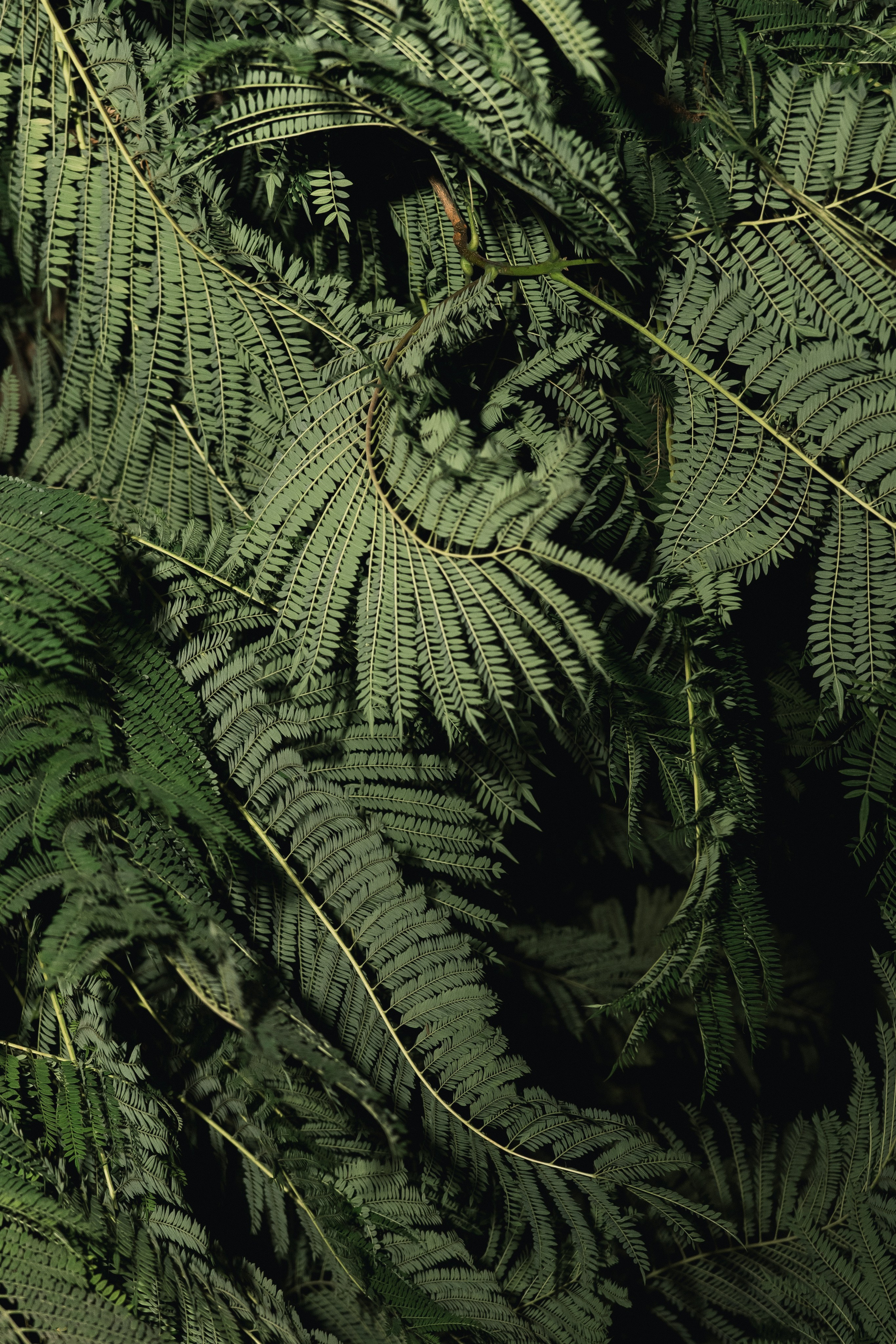 A German wedding among palms. Wedding & Documentary Photographer based in Nuremberg — available across Europe & Turkey | Vitalii Nasonov