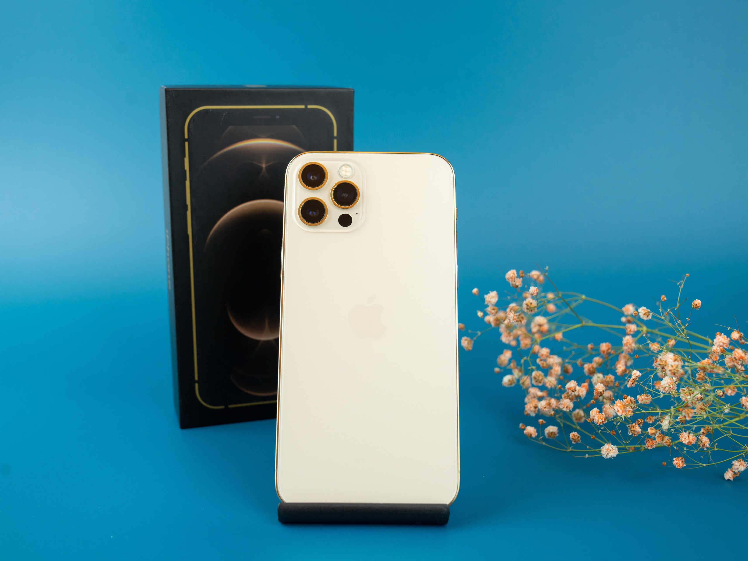 IPhone. Фотограф в Санкт-Петербурге Мария Александрова