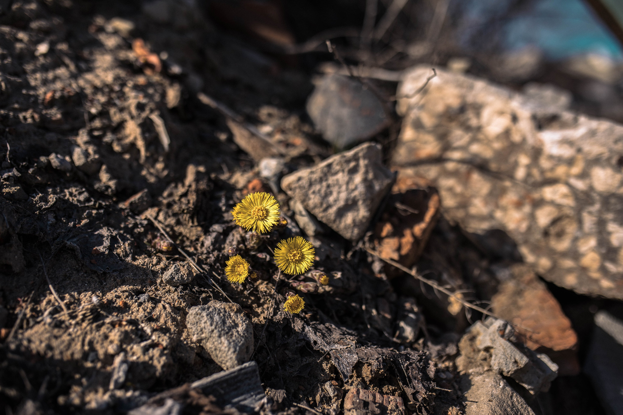 Экология. Воскресенск. Фотограф София Комкина