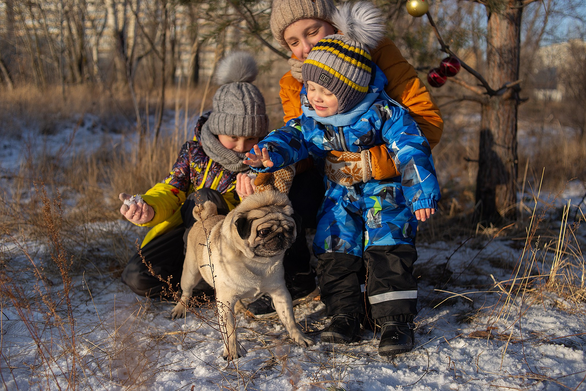 Зимняя фотопрогулка на мещерском озере с мандаринами. Детский и семейный фотограф, фотограф мероприятий Нижний Новгород