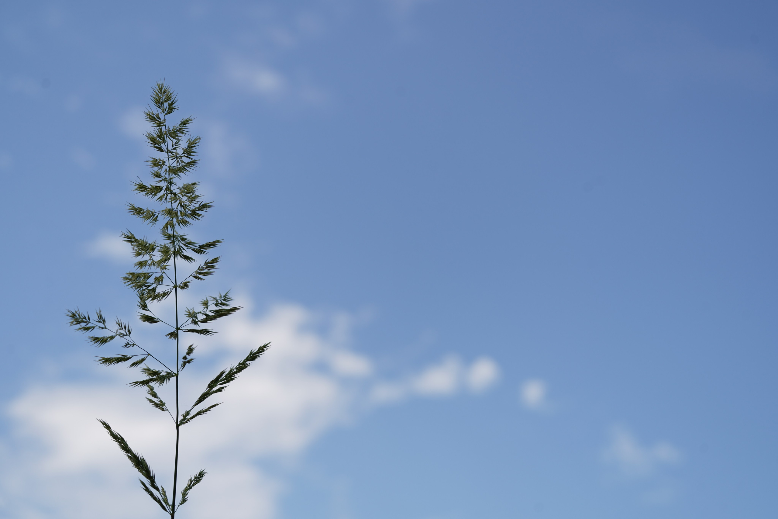 Сёрфинг в Саратове!. Фотокрыжовник. Снимаем, дружим, путешествуем