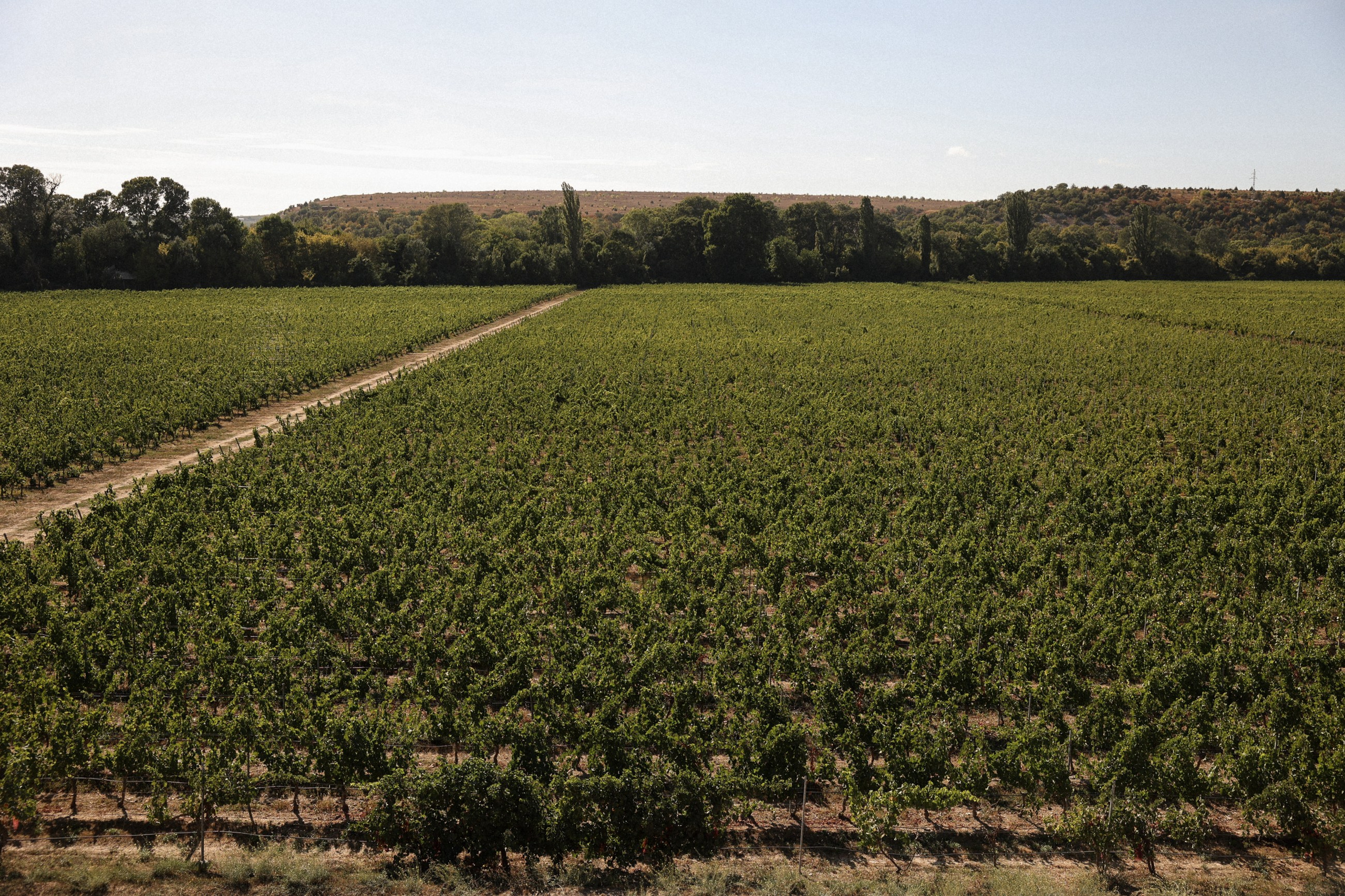 Александр и Екатерина. Фотограф в Севастополе и Крыму Артем Волобуев