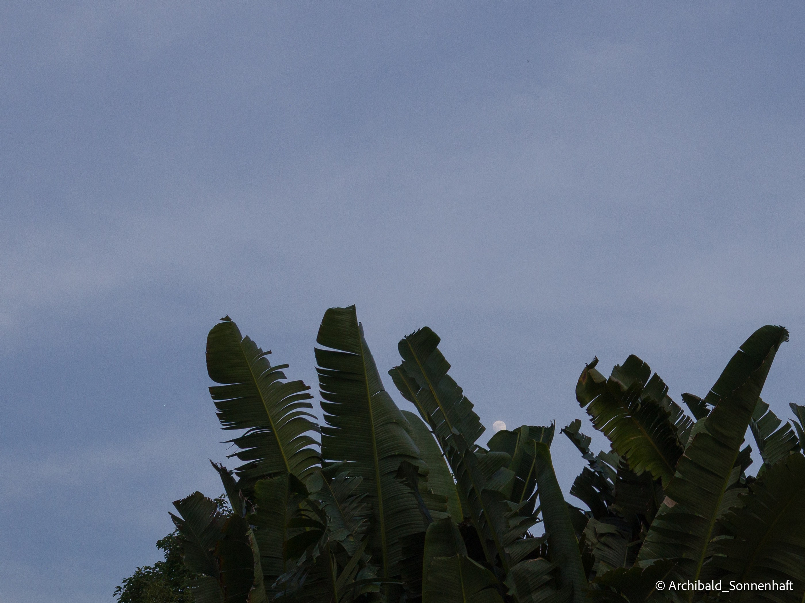 Office environs. Photographer in Guangzhou, China. Archibald Sonnenhaft