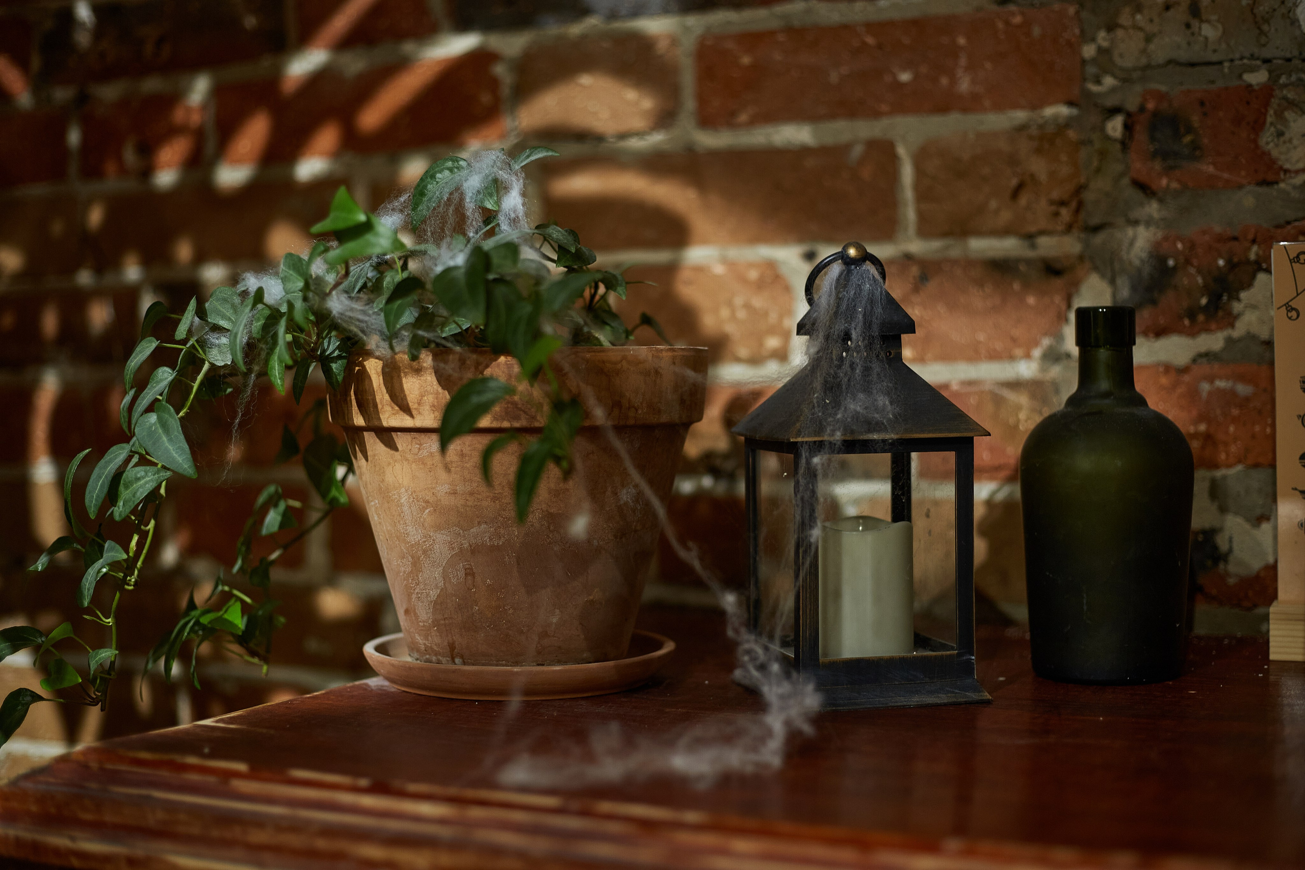 2023-10-20. Risan. Kolokol