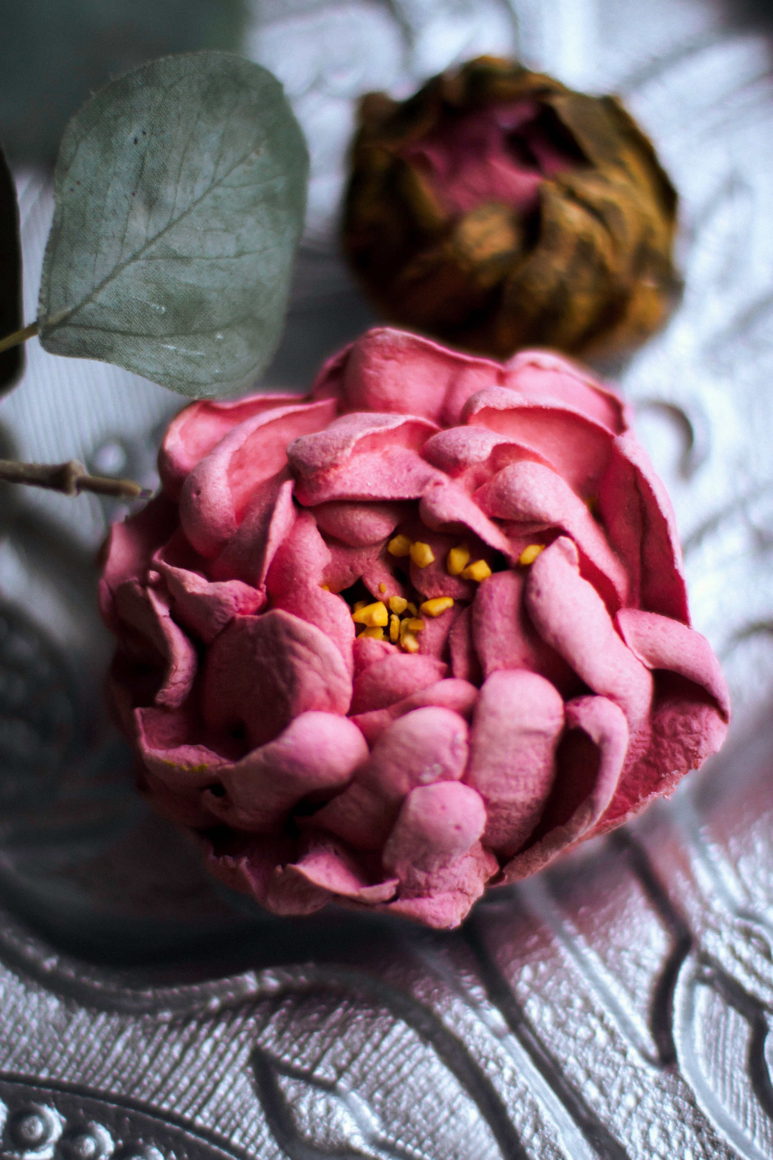 / P r o d u c t /. Nadi Sapunova photographer & visual storyteller