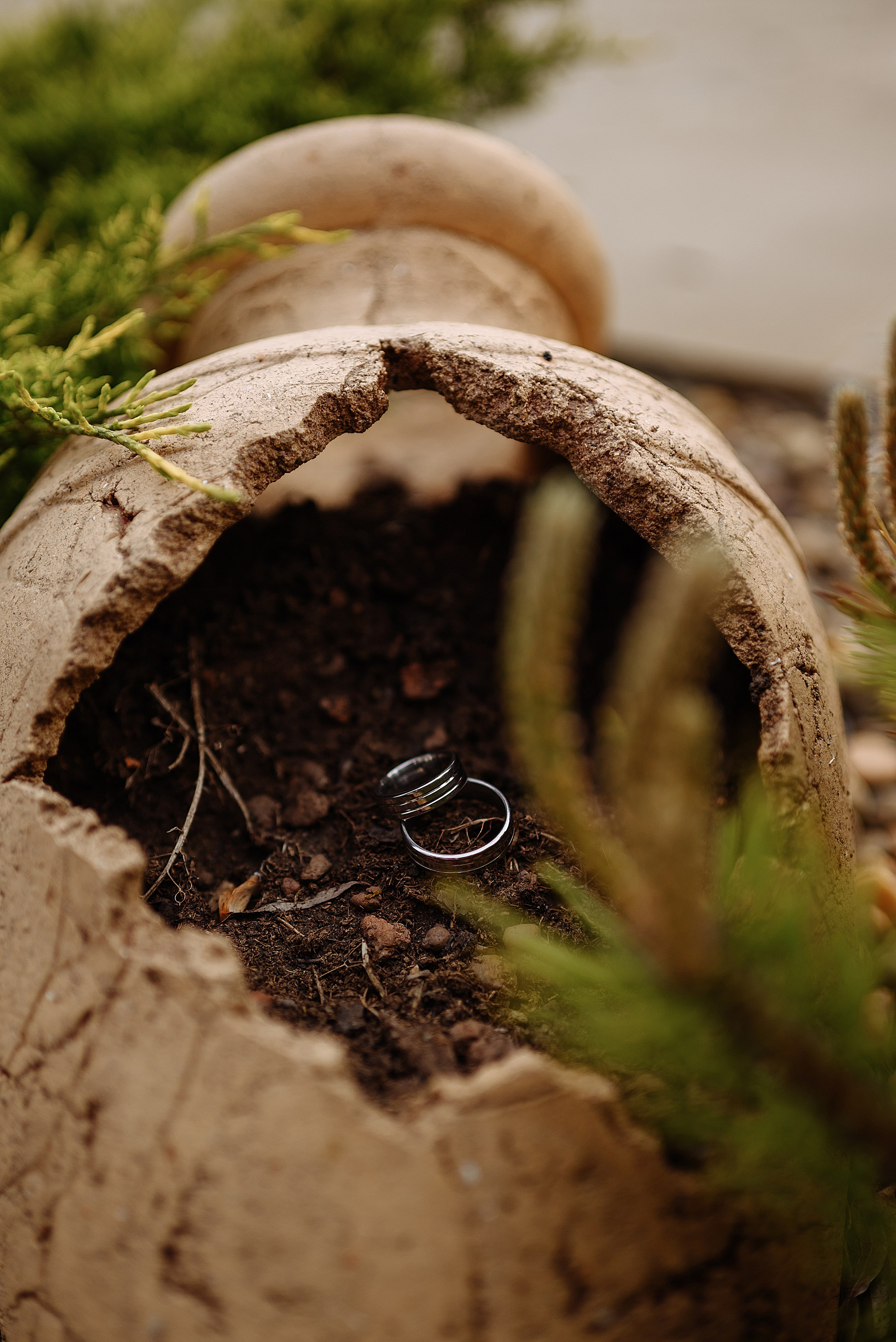 Вадим и Вика. Свадебный и семейный фотограф в Ростове-на-Дону Алина Астахова