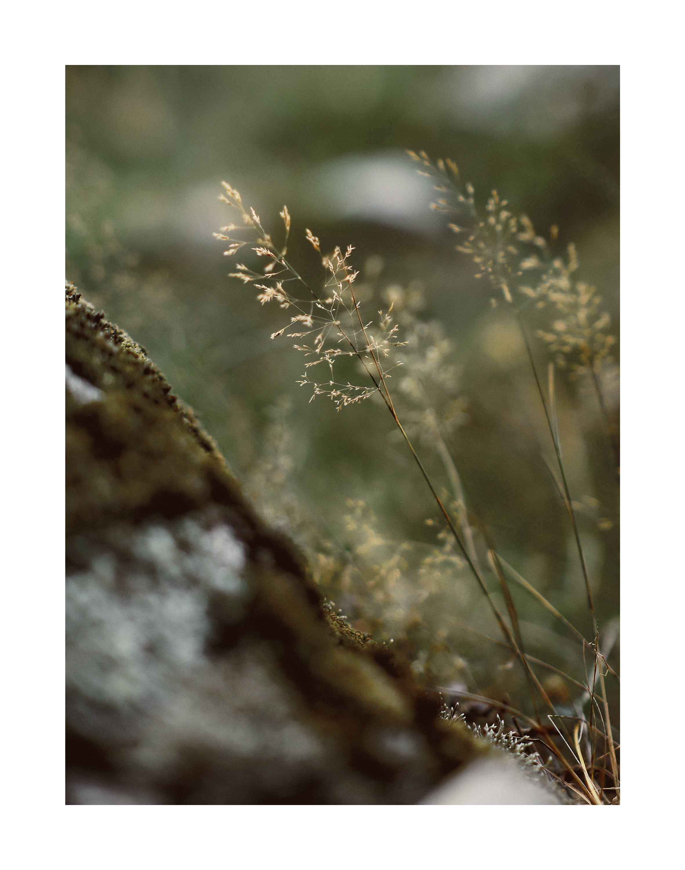 Даша и Игорь. Семейный и свадебный фотограф в Краснодаре