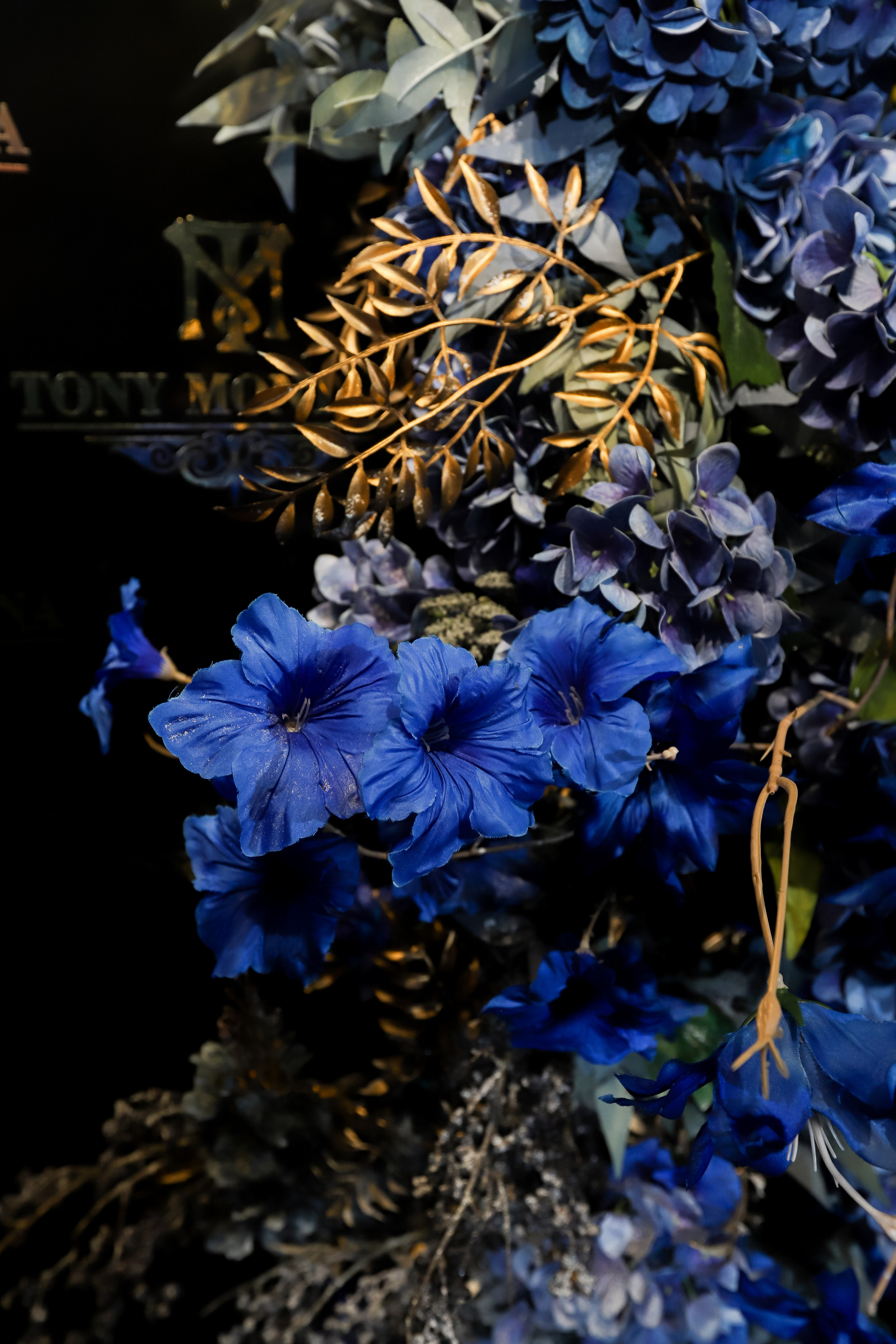 Tony Montana. Фотограф в Краснодаре Анна Светикова