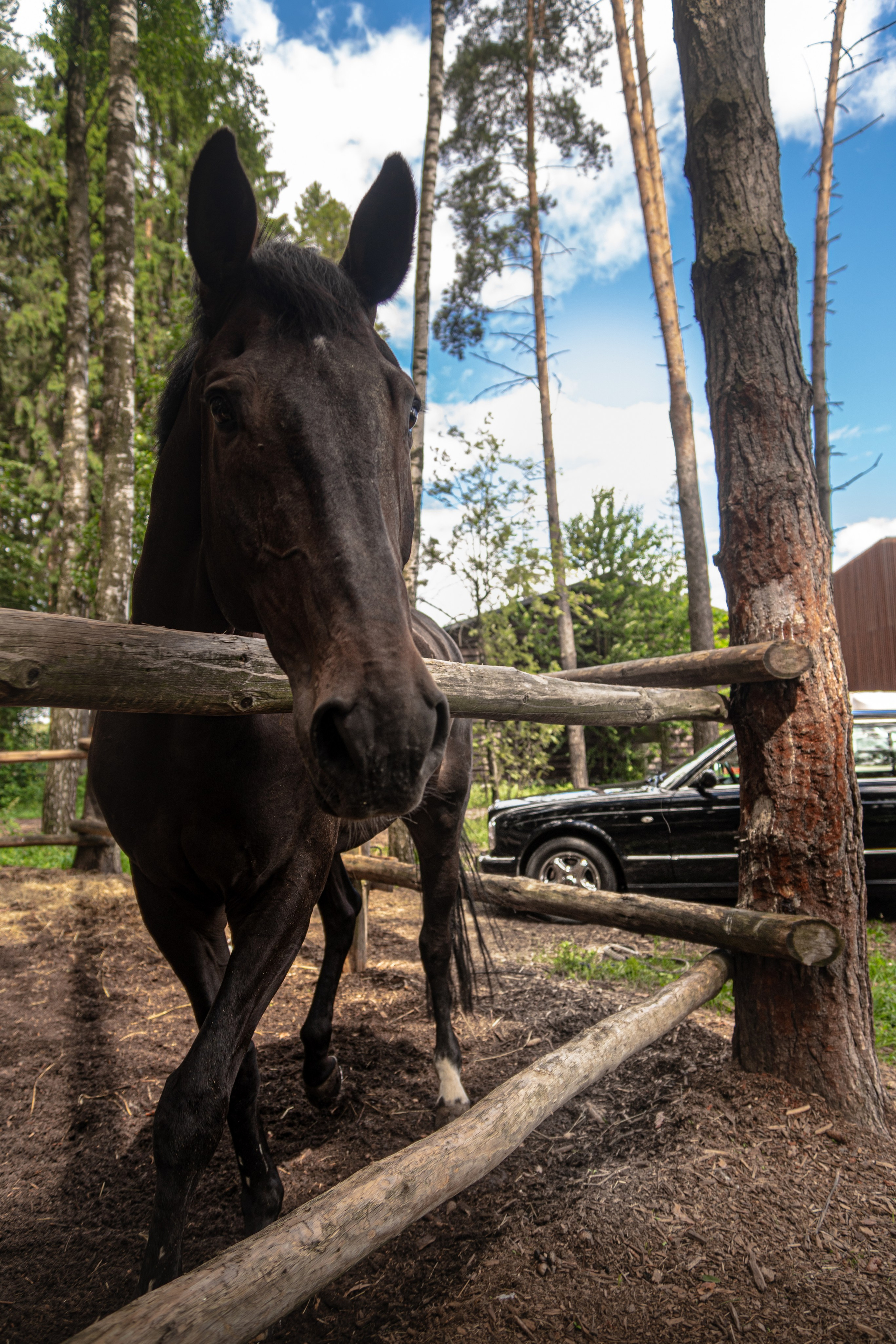 Фотосъемка Bentley , Rolls-Royce , Range Rover в Москве. Жуков Илья  свадебный фотограф в Москве