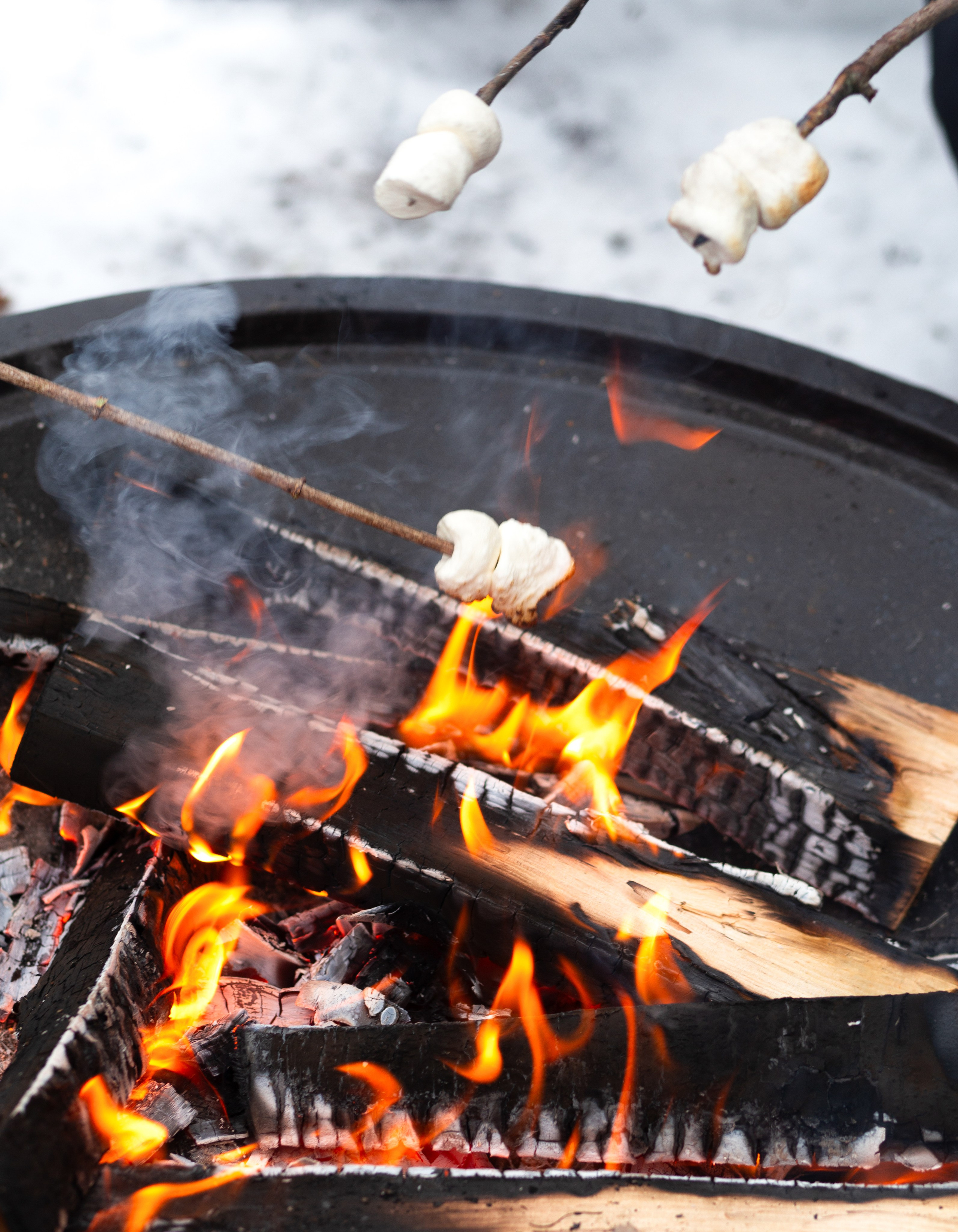 Cool Zone Baby. Главная