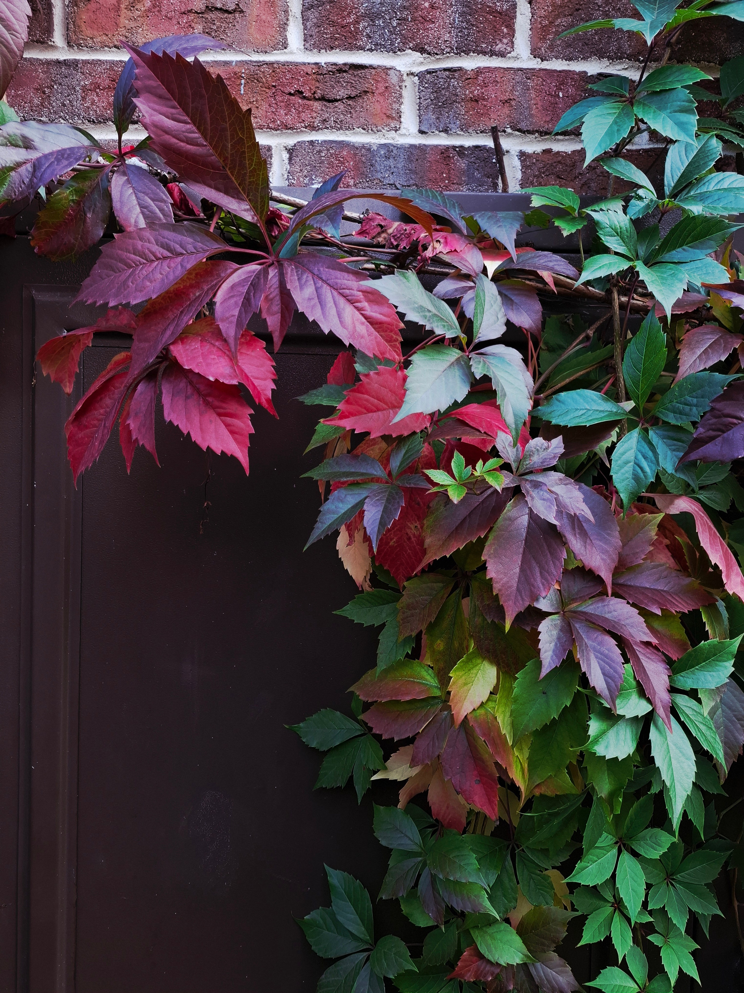 Контакты. Главная