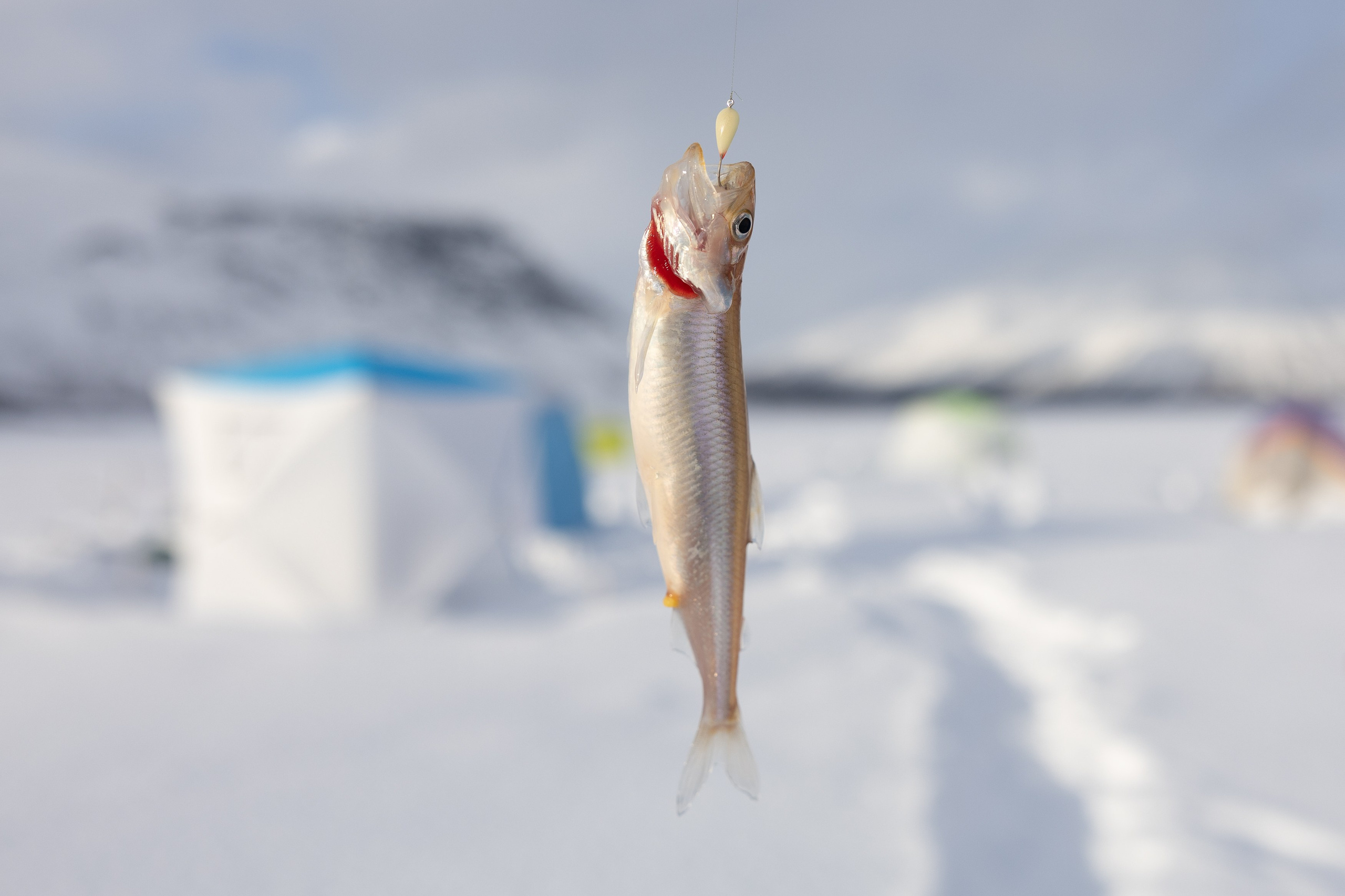 Кировск. Рыбаки. Алиса Северная. Визуальные исследования. Пейзажная и документальная фотография