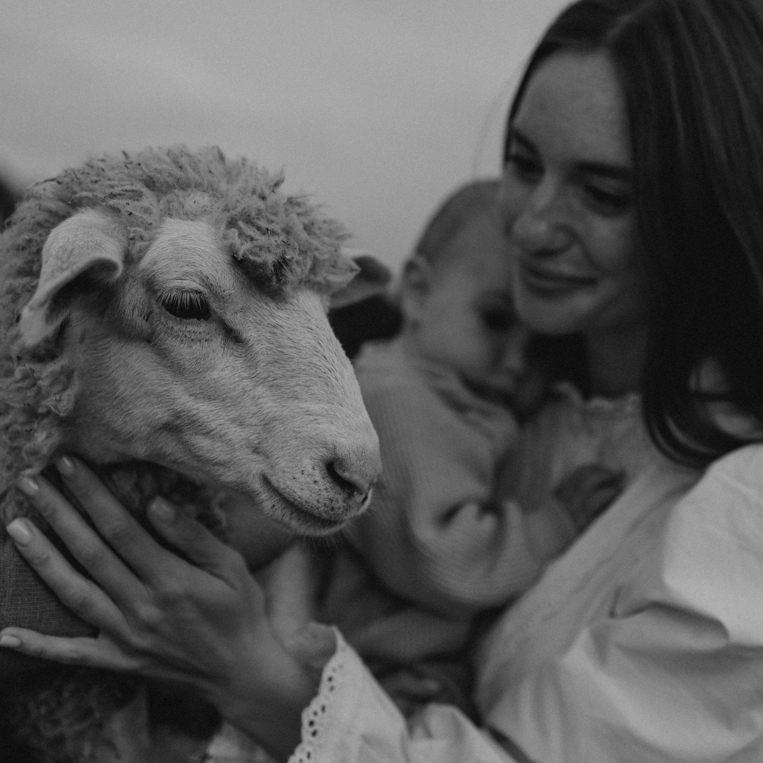 Семейная. Фотораф — анималист Мария Шистка