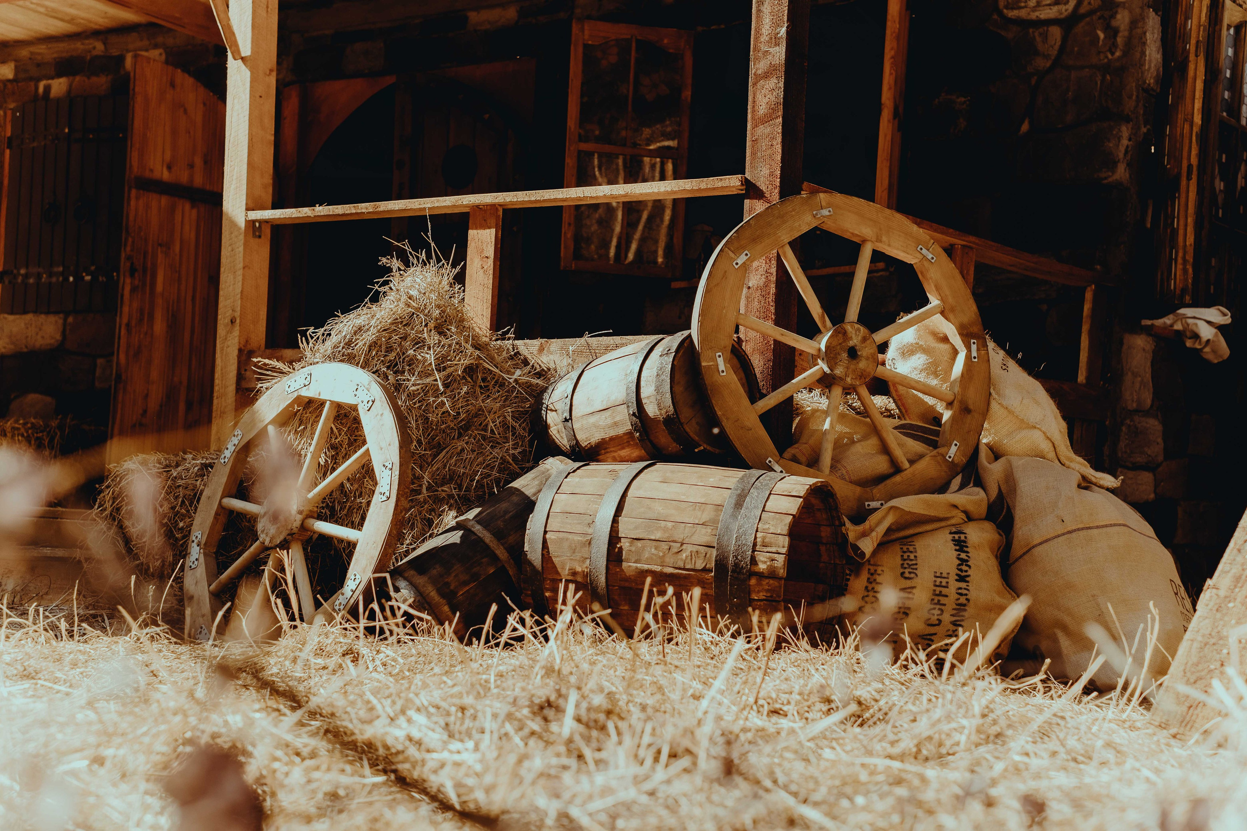 Отряд: эпоха Кометы. Фотограф Аннё| Москва