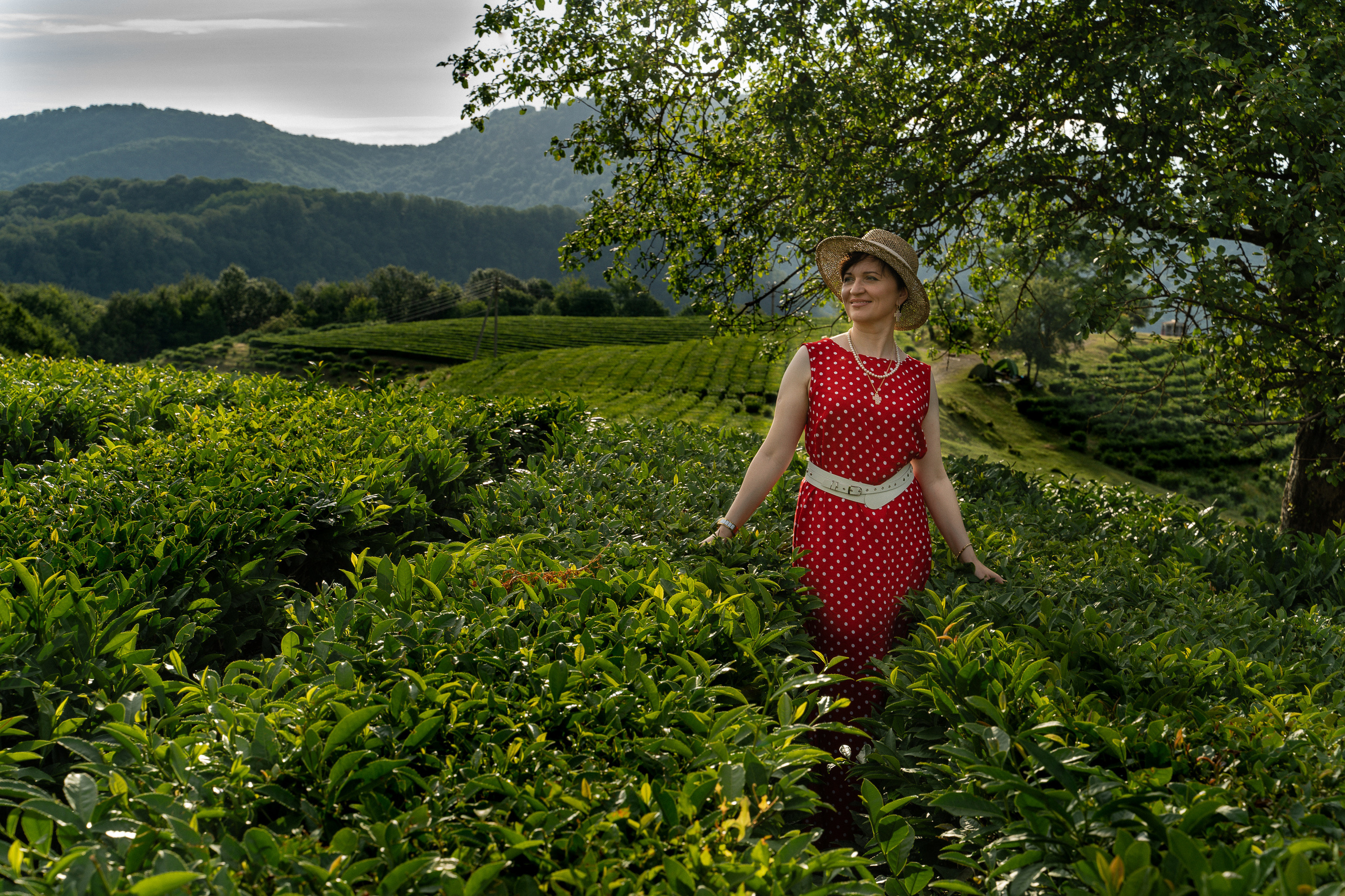 девушка в красном платье на фоне зеленых чайных плантаций сочи