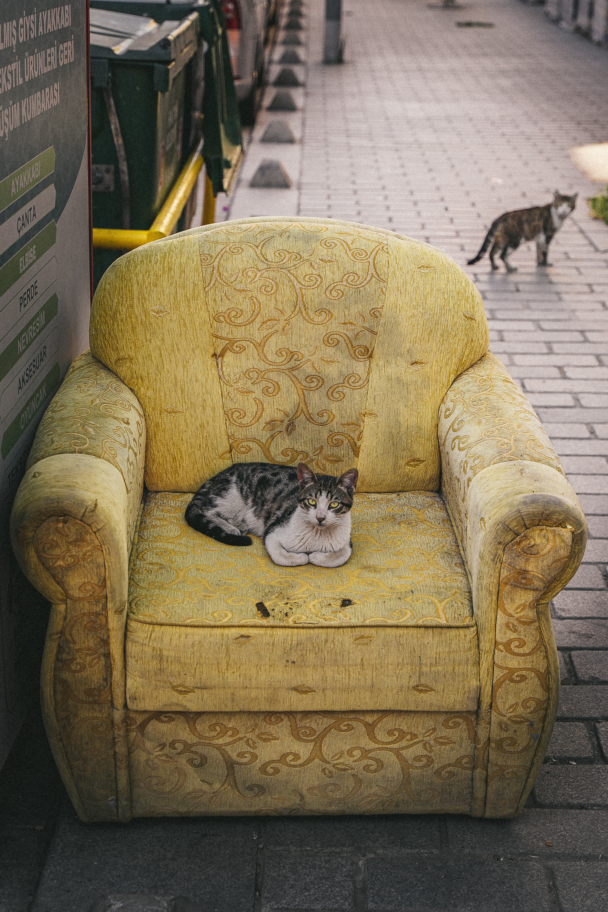 Стамбул: уличные фотографии. Фотограф в Сочи Елена Лисотина. Фототуры в Сочи