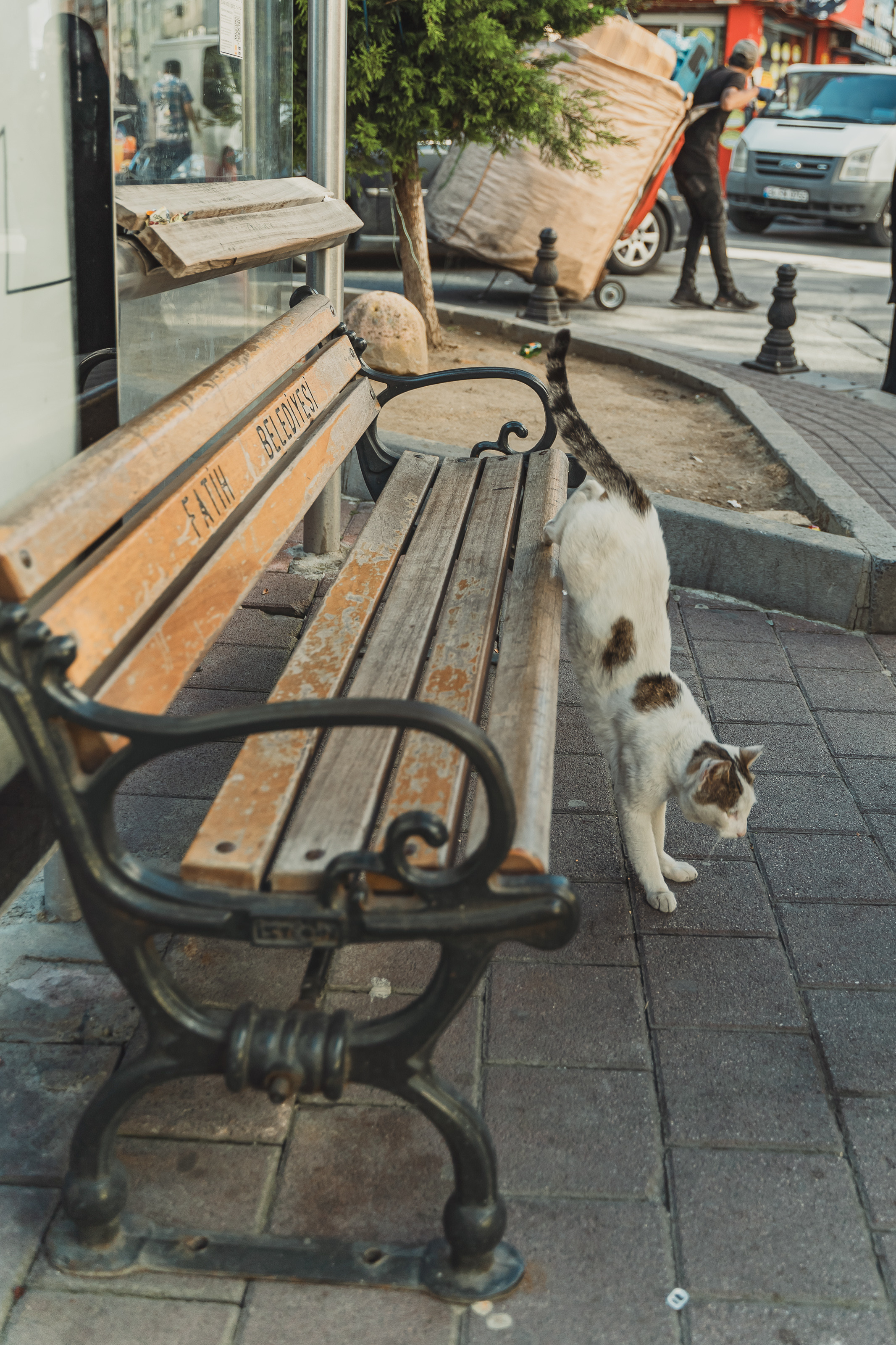 Стамбул: уличные фотографии. Фотограф в Сочи Елена Лисотина. Фототуры в Сочи