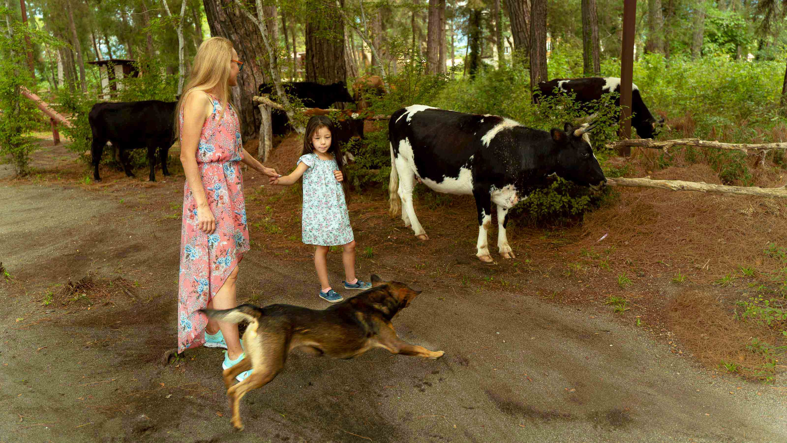 Фотограф в Сочи Елена Лисотина. Фототуры в Сочи