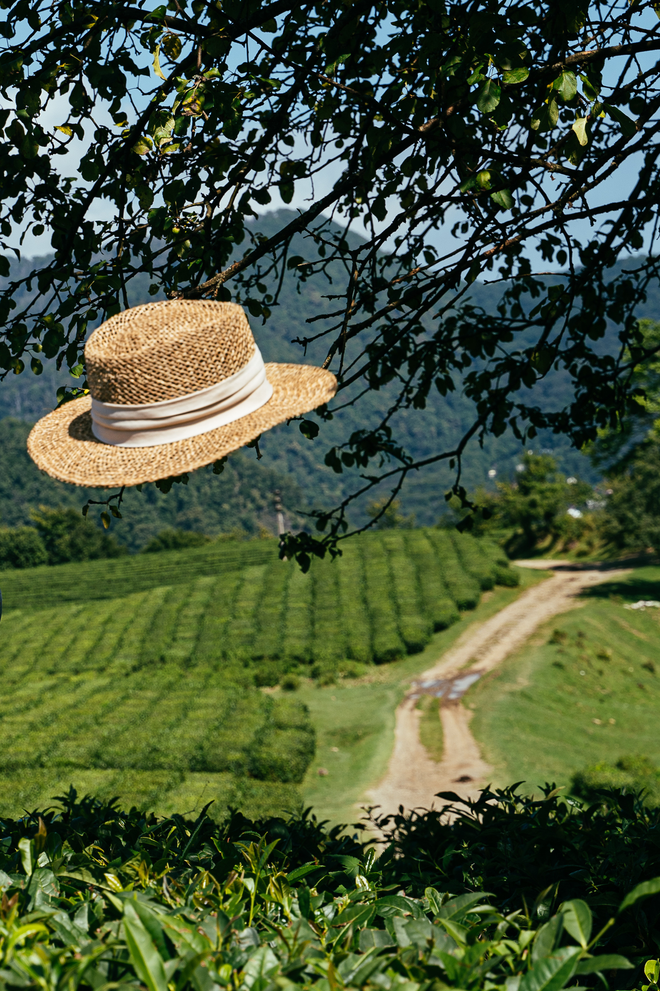 Фотограф в Сочи Елена Лисотина. Фототуры в Сочи