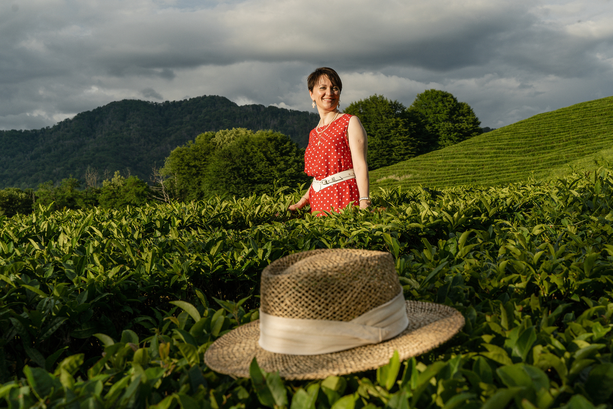 Чайные плантации в Сочи девушка в красном платье на фоне зеленых чайных плантаций