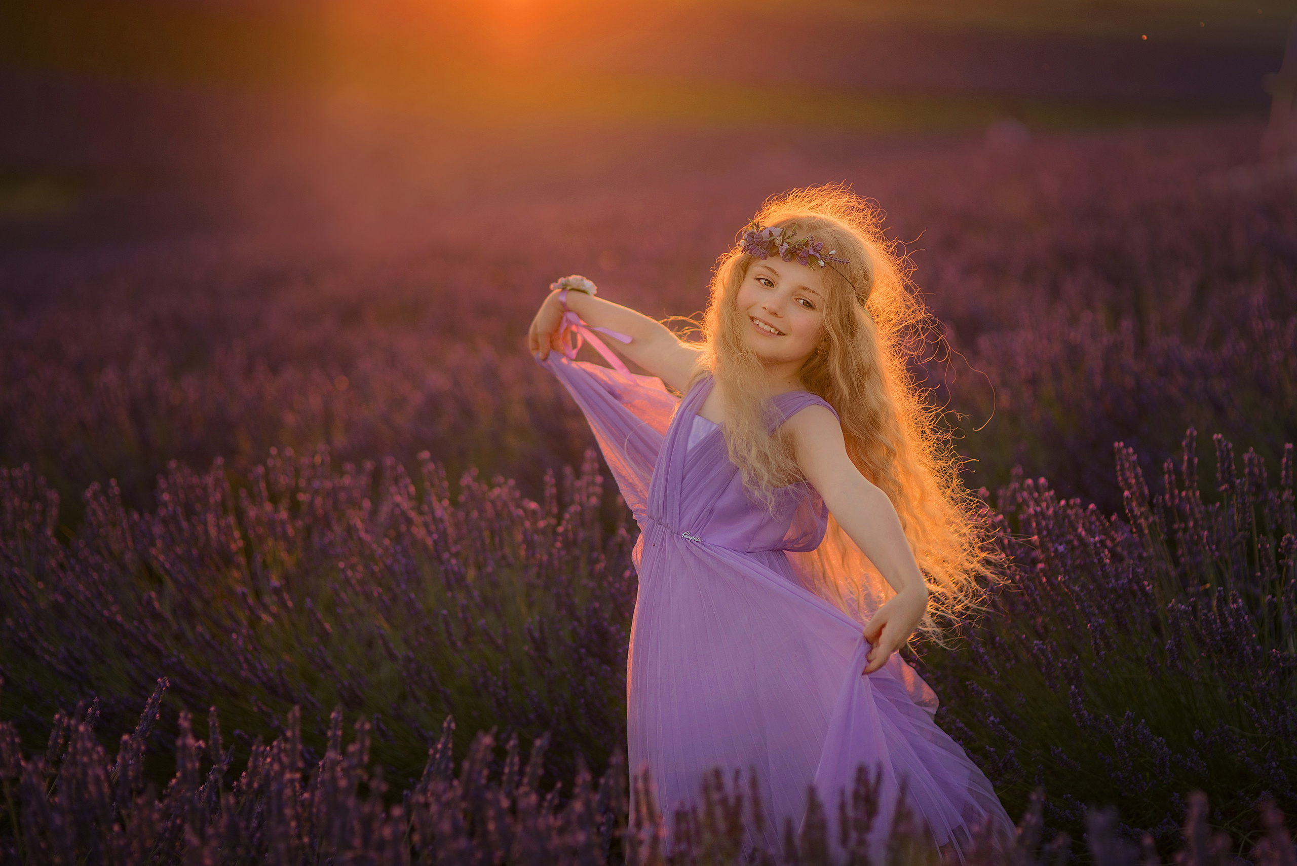 Lavender. Photographer in Provence Julia Lipiainen