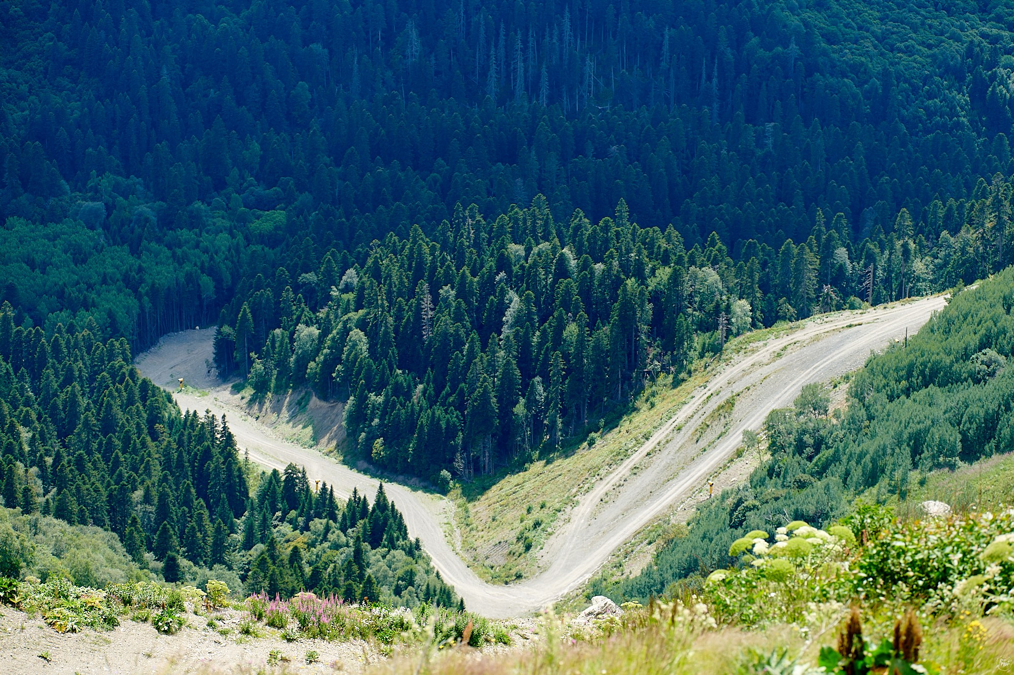 Домбай август 2024. Фотографии отовсюду и обо всем