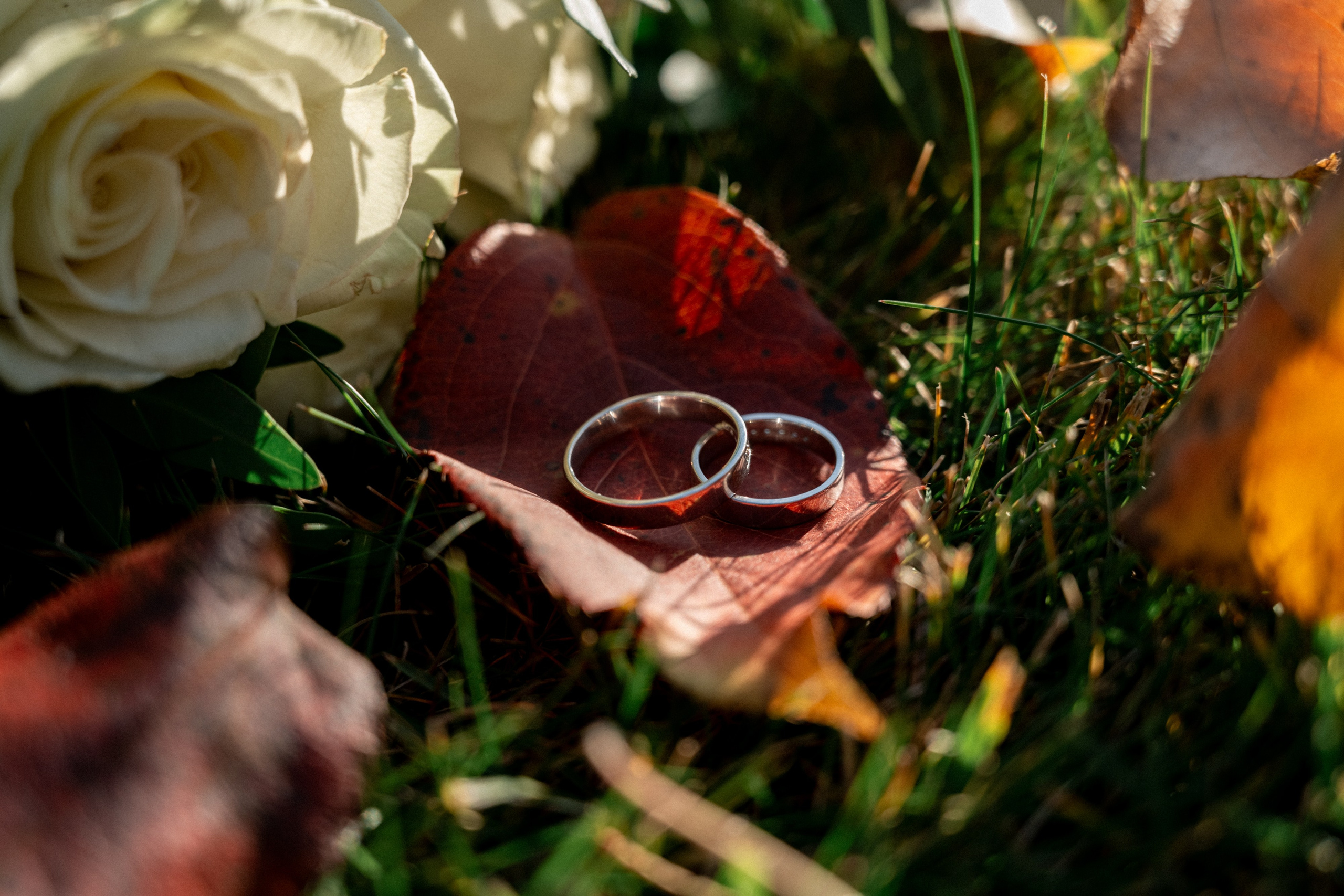 Свадебный и Репортажный фотограф в Красноярске, Антон Новоселов