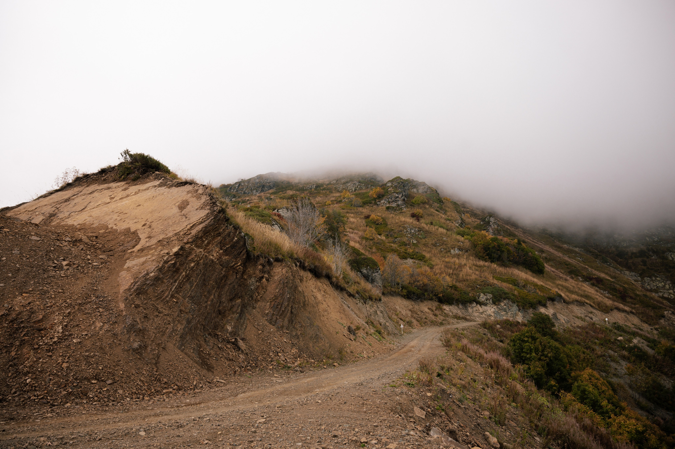 Выше гор только любовь. Свадебный и семейный фотограф Вероника Холод