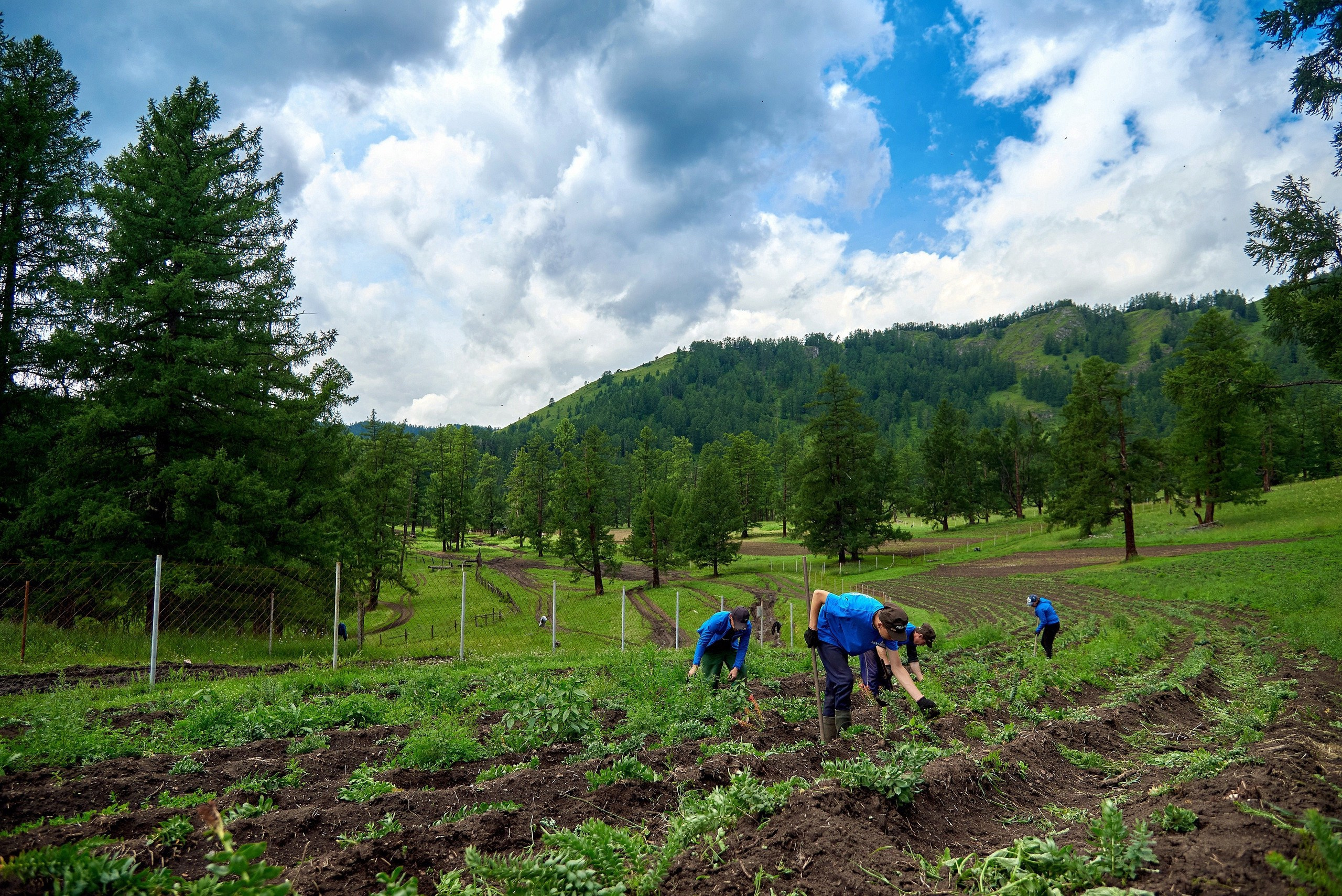 Репортажный фотограф в Горном Алтае: съёмки мероприятий и событий. Фотограф Опыт Качество Скорость Горный Алтай Барнаул