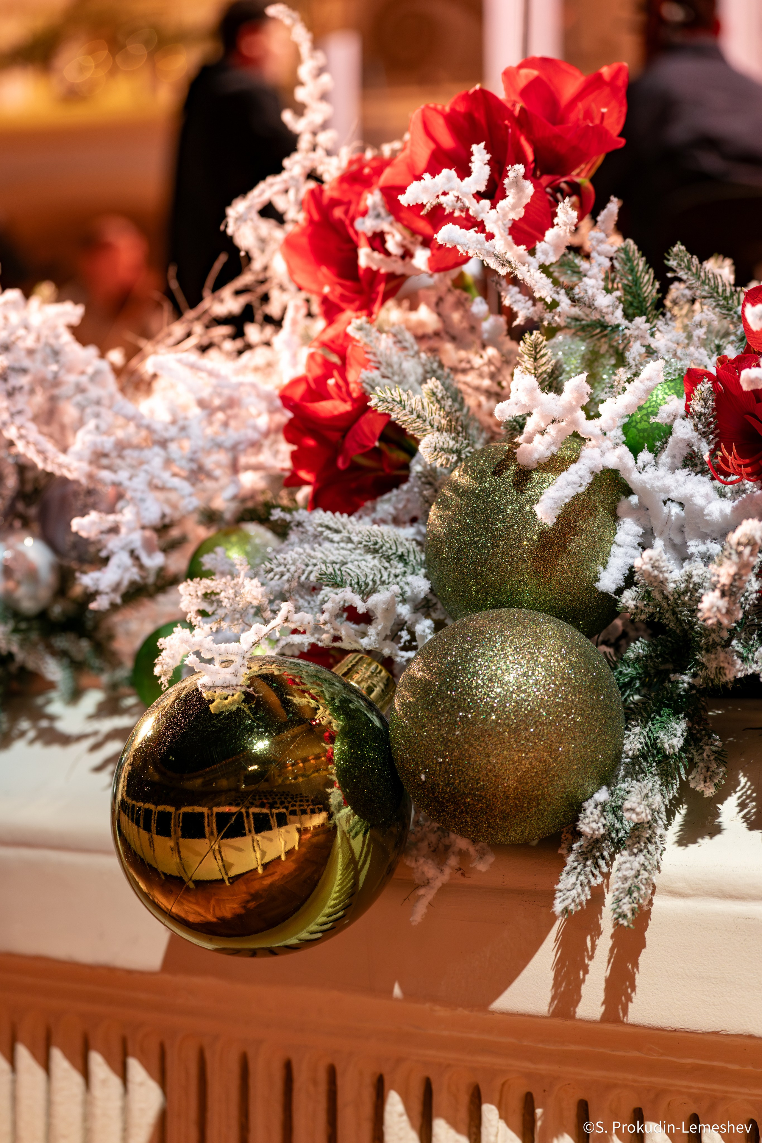 Валерий Гергиев. Фотограф. Репортаж. Спорт. Концерты и мероприятия